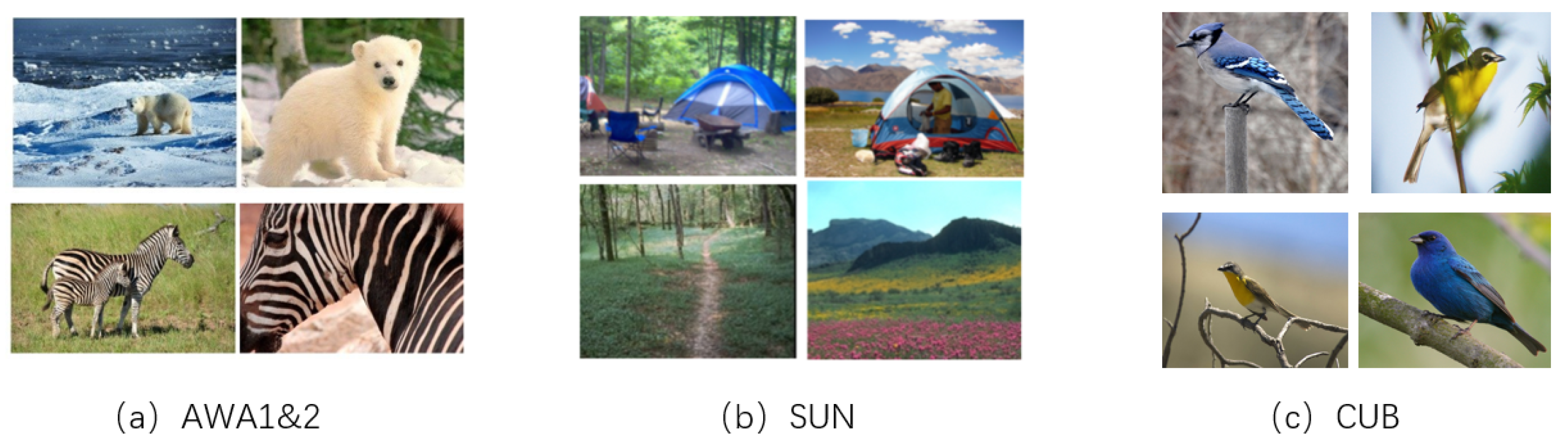 Electronics 12 02308 g004