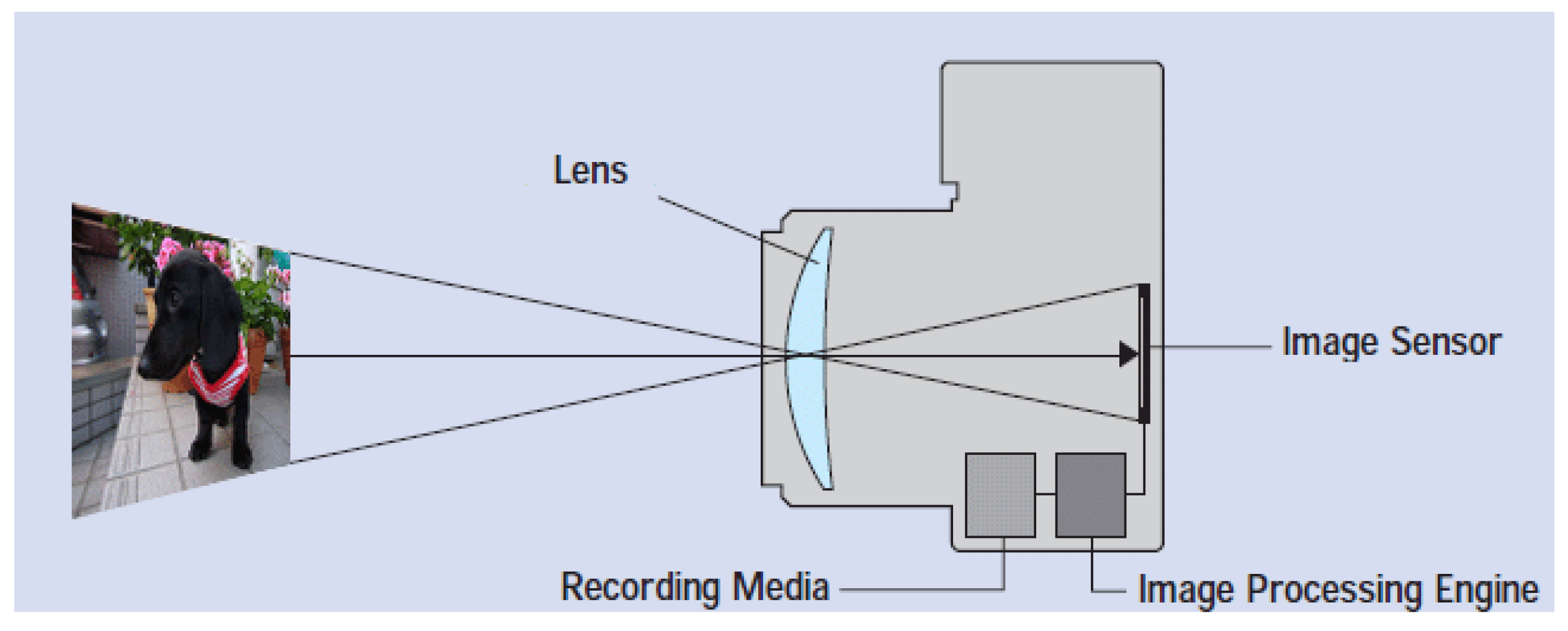 Electronics 12 02330 g001 Electronics 12 02330 g001