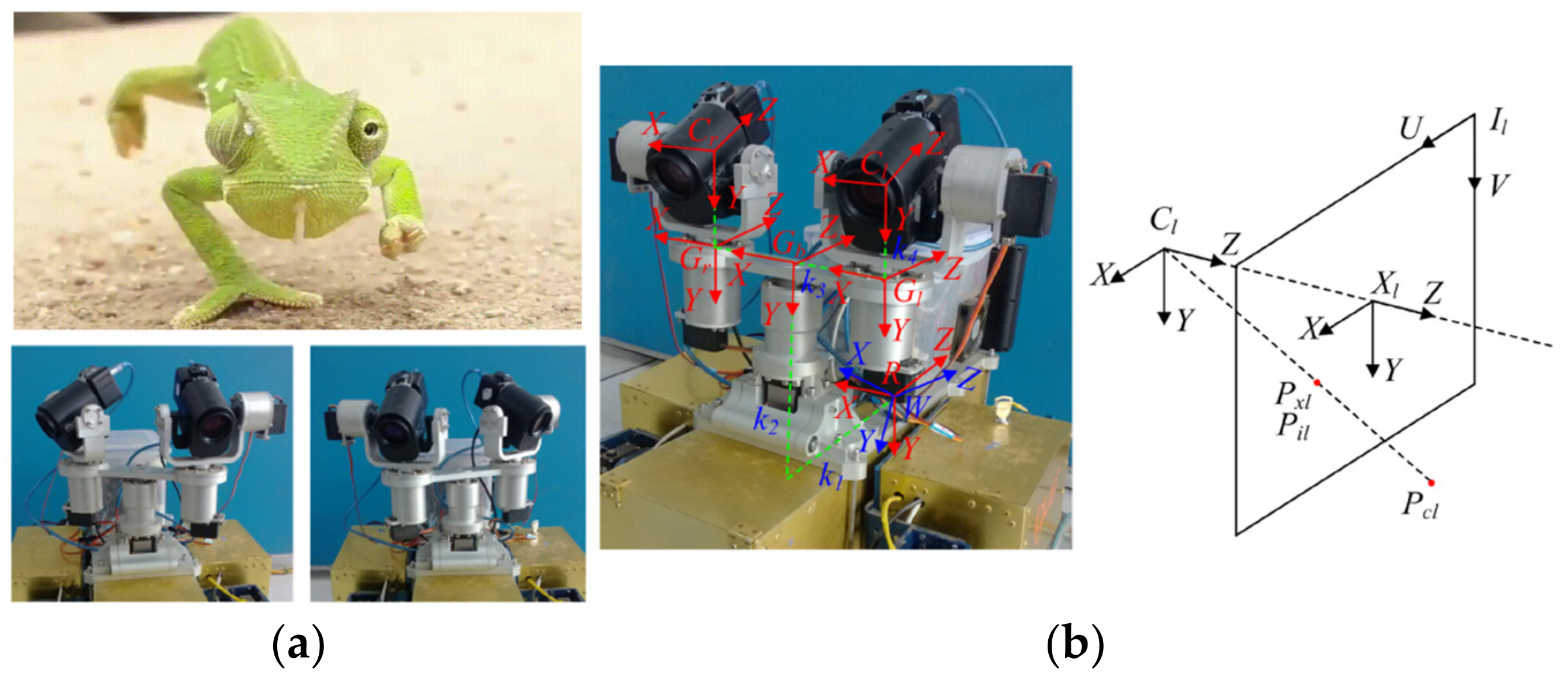 Electronics 12 02365 g003