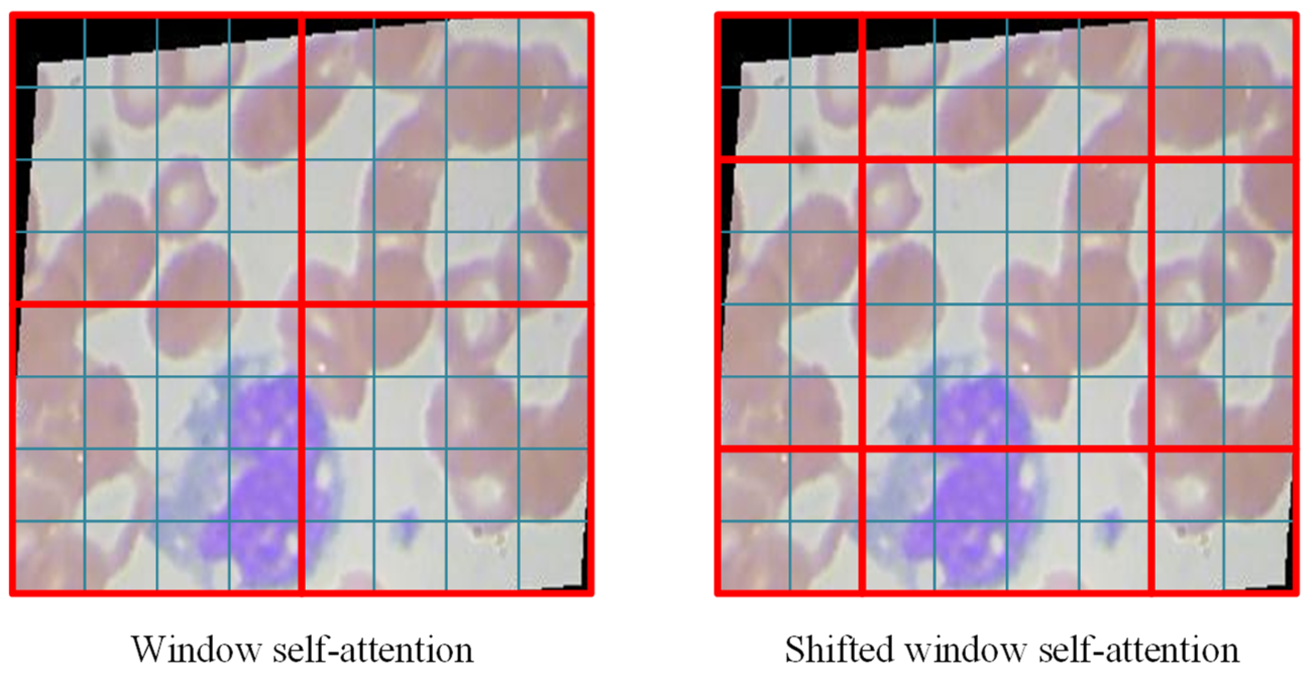 Electronics 12 02442 g002