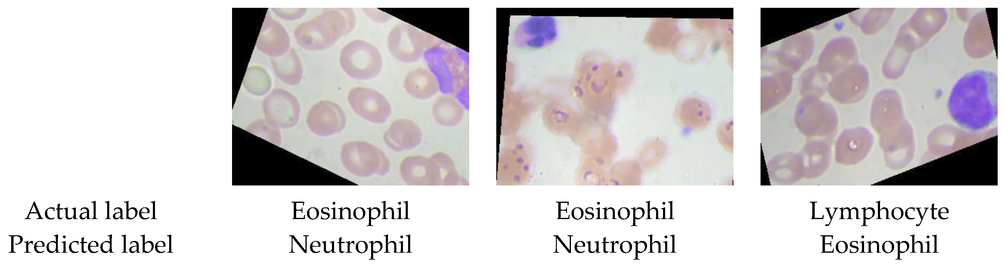 Electronics 12 02442 g009