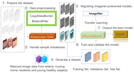 Diplin: A Disease Risk Prediction Model Based on EfficientNetV2 and ...