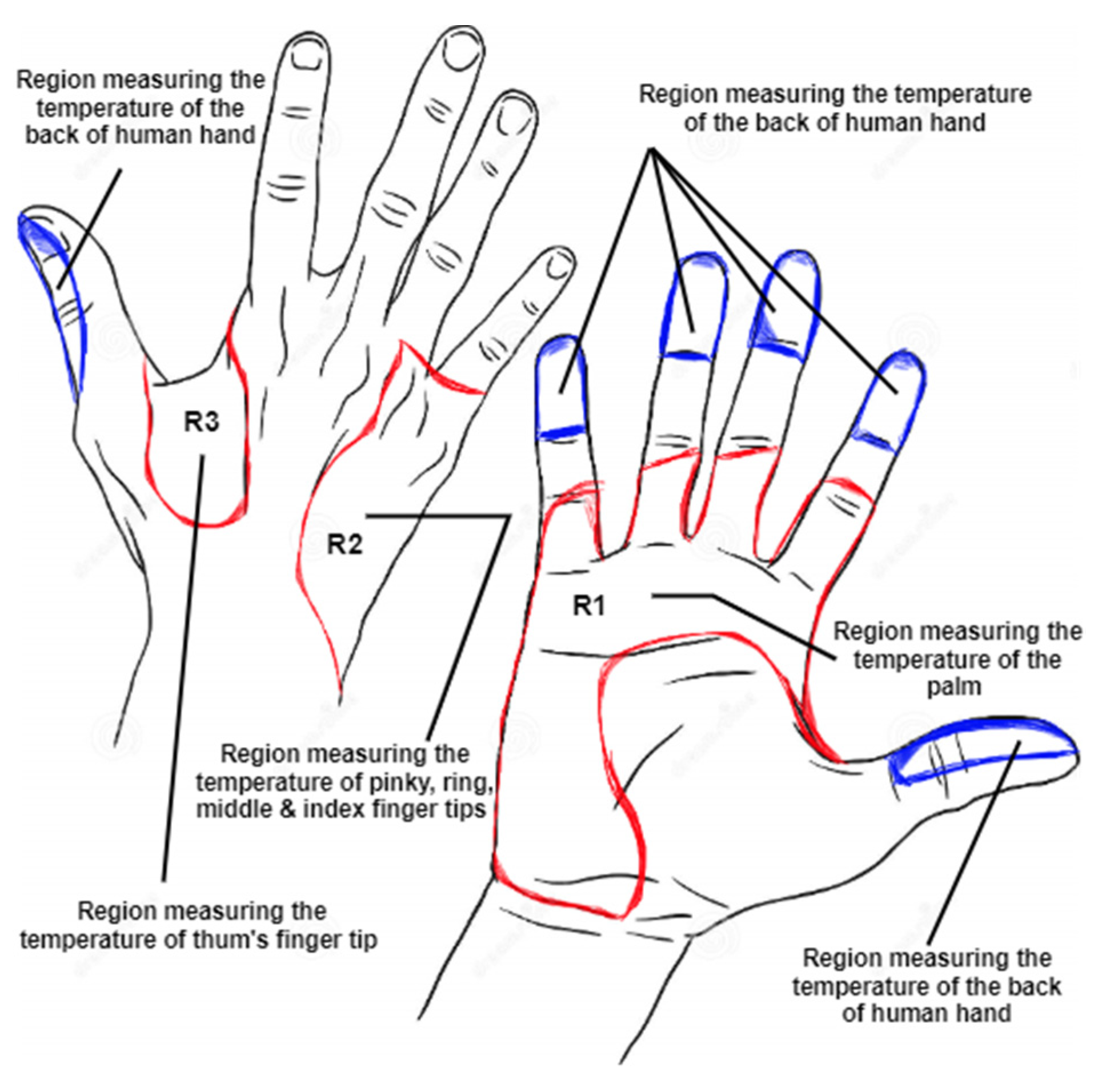 Electronics 12 02603 g006