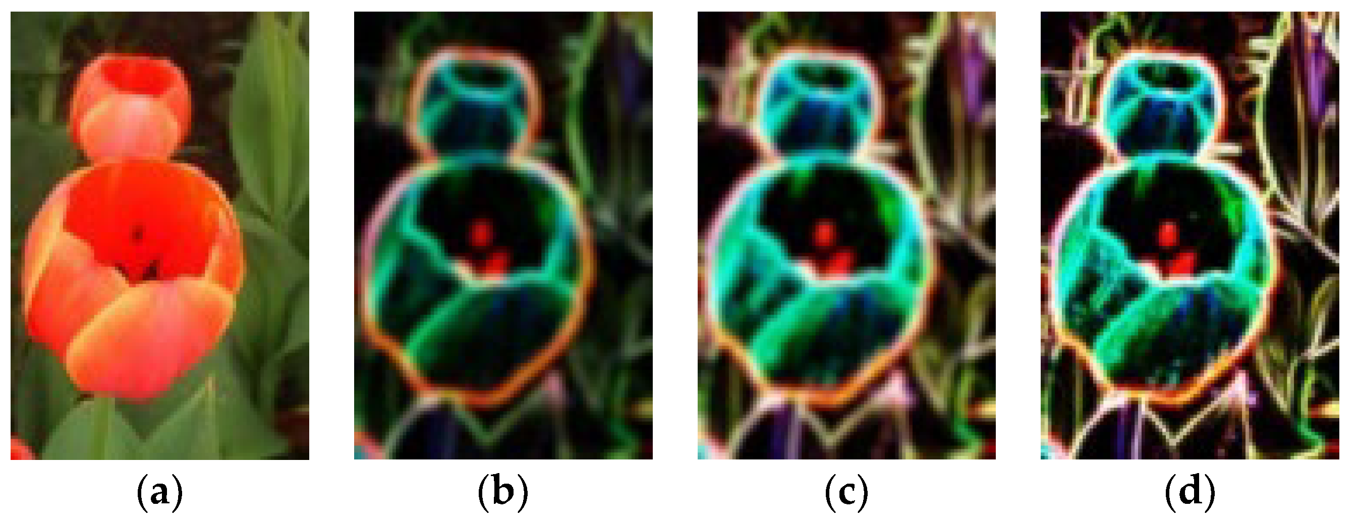 Electronics 12 02659 g002