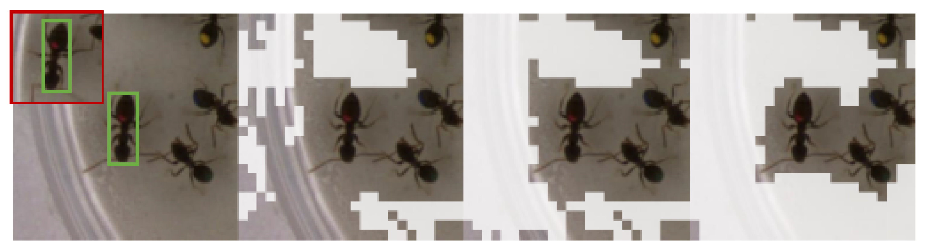 Electronics 12 02789 g003