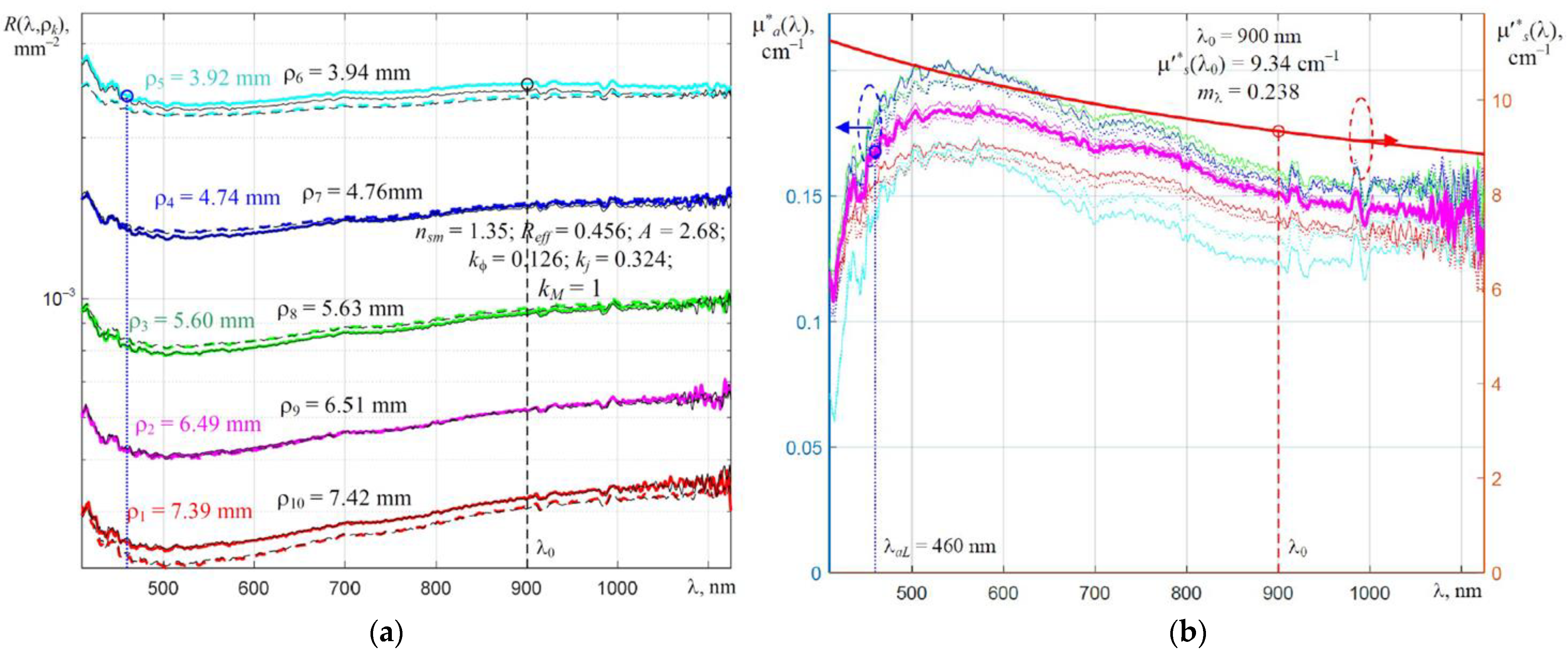 Electronics 12 02893 g006