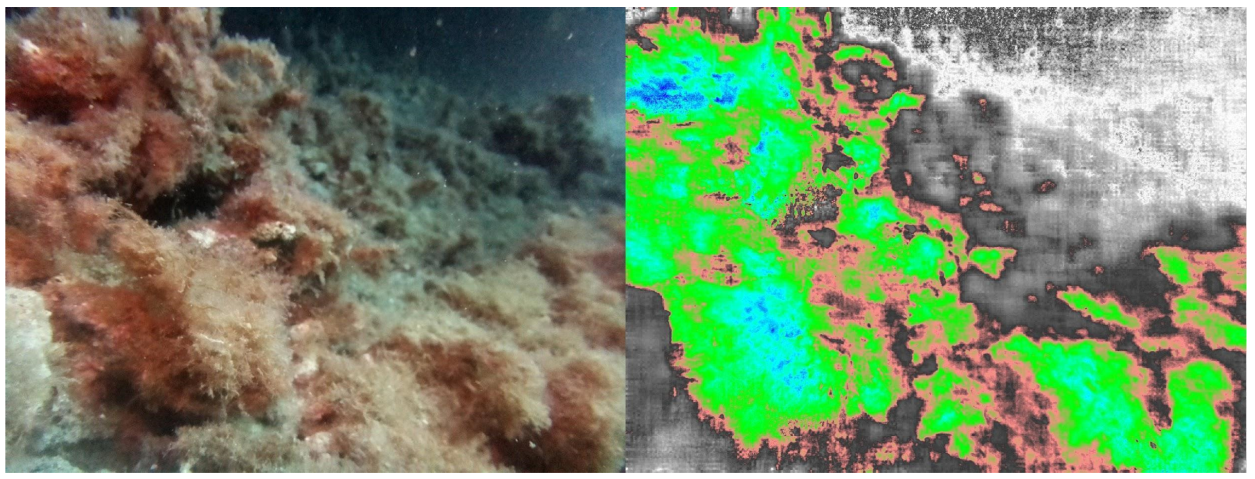 Electronics 12 02918 g015