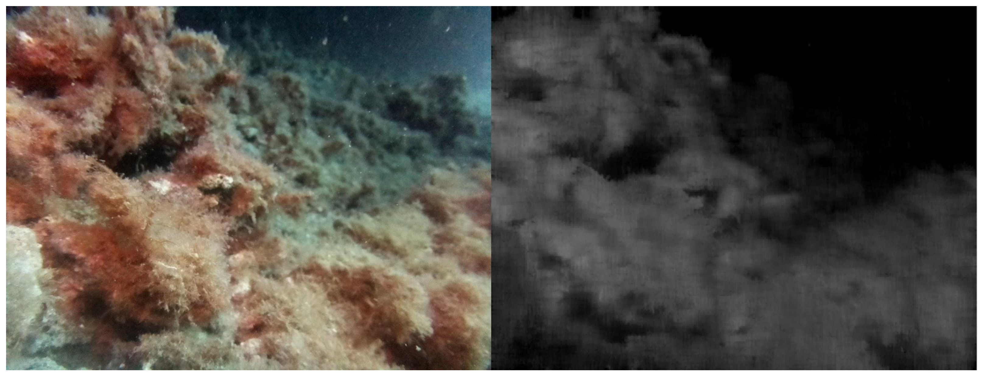 Electronics 12 02918 g016