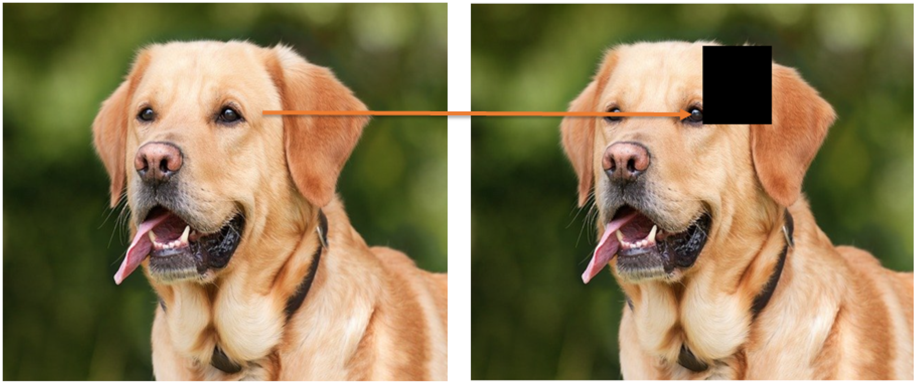 Electronics 12 03106 g006 Electronics 12 03106 g006