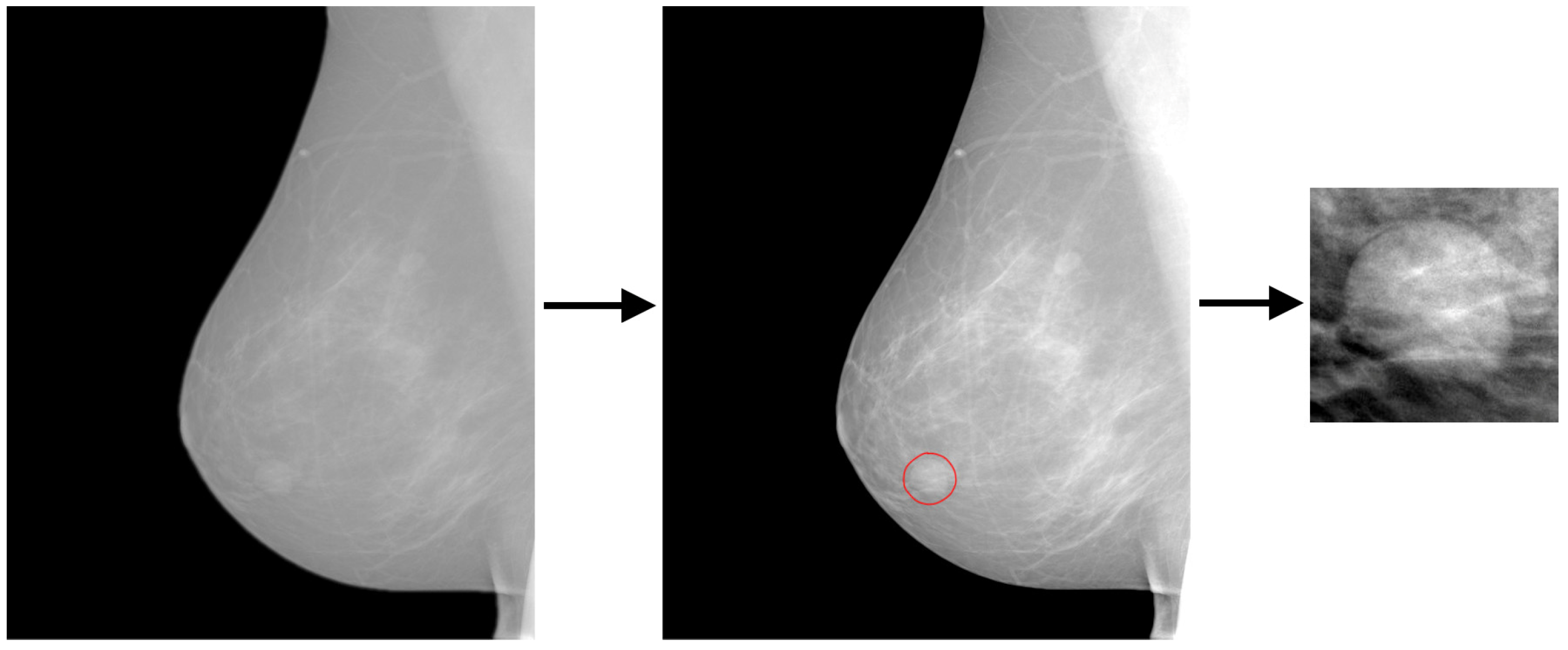 Electronics 12 03269 g003