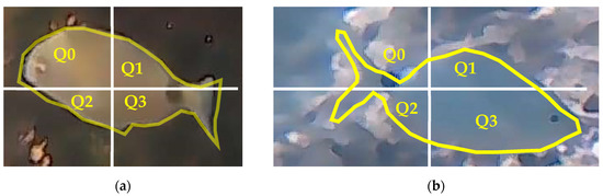 Fish Monitoring from Low-Contrast Underwater Images