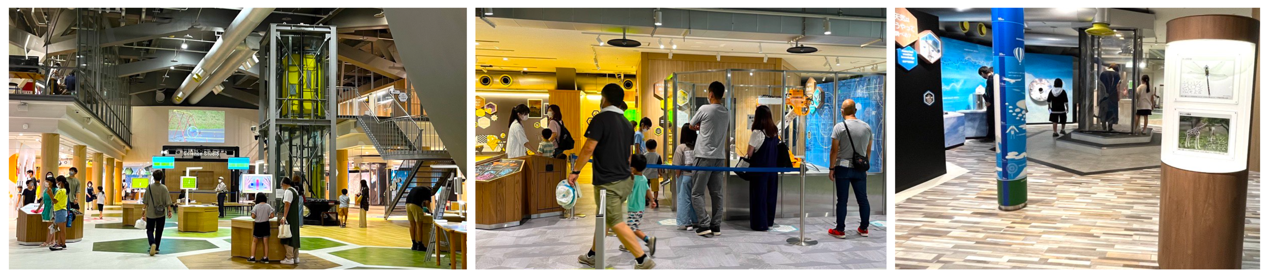 Electronics 12 03351 g004