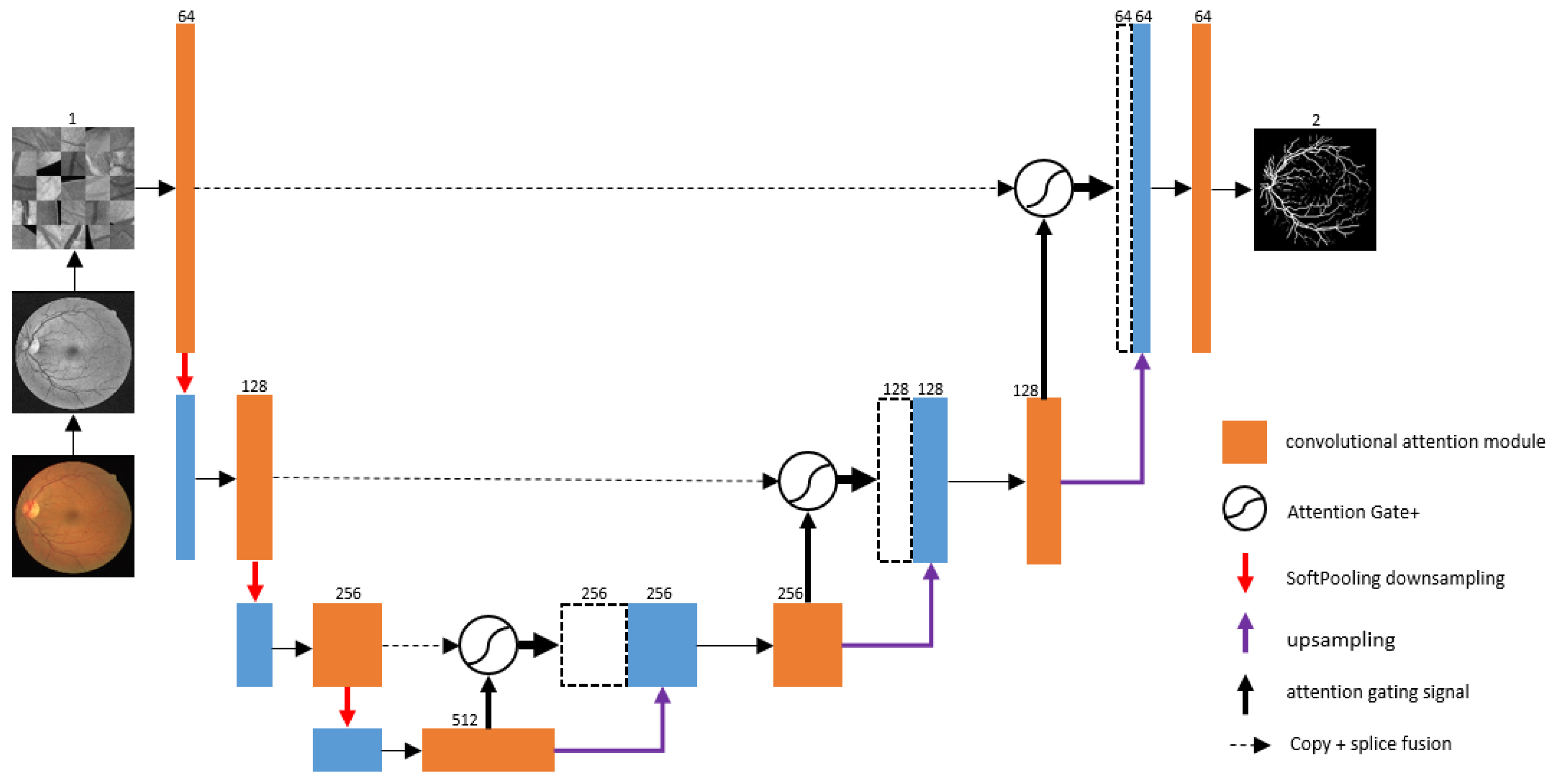 CAS-UNet: A Retinal Segmentation Method Based on Attention