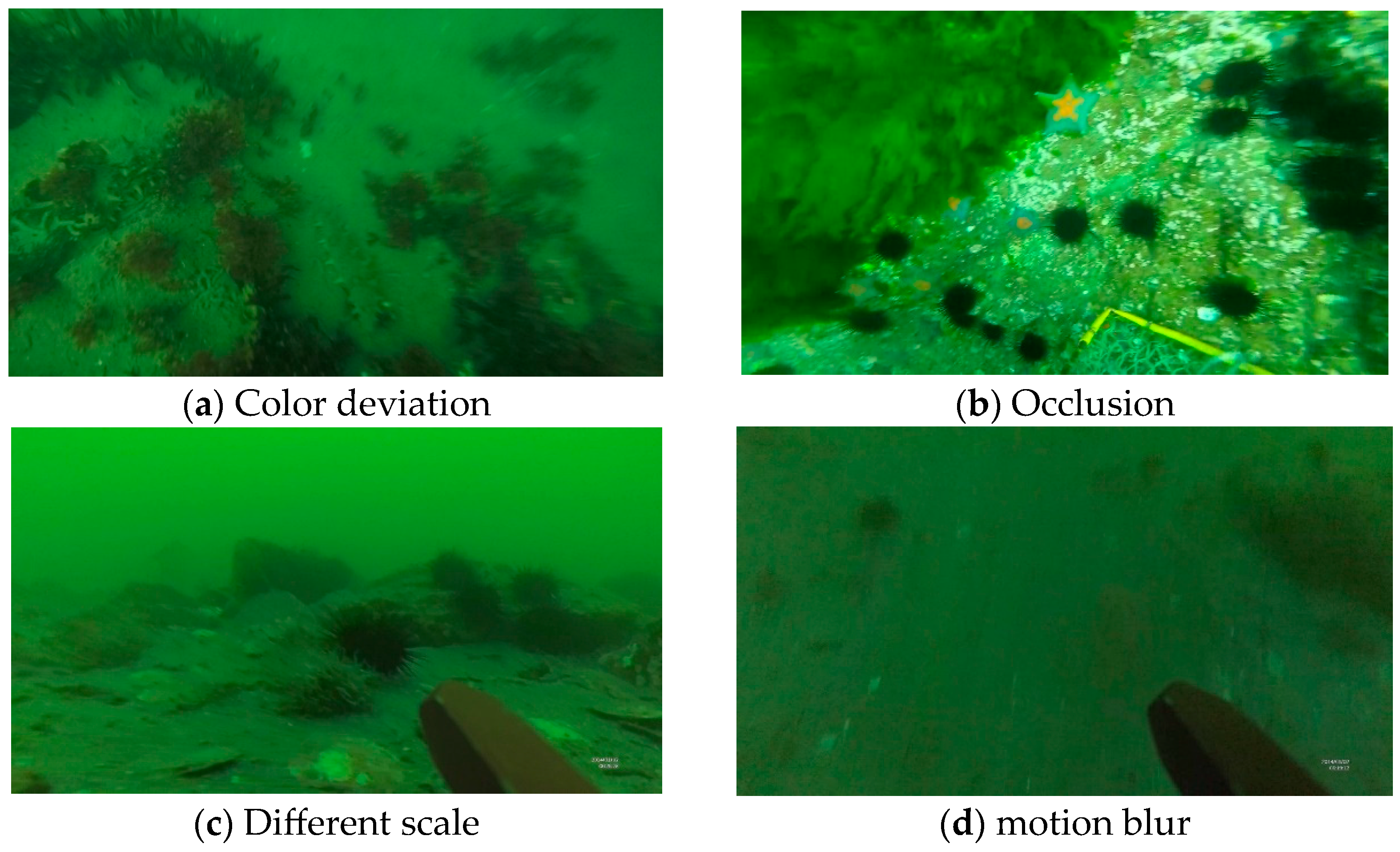 Electronics 12 03413 g001