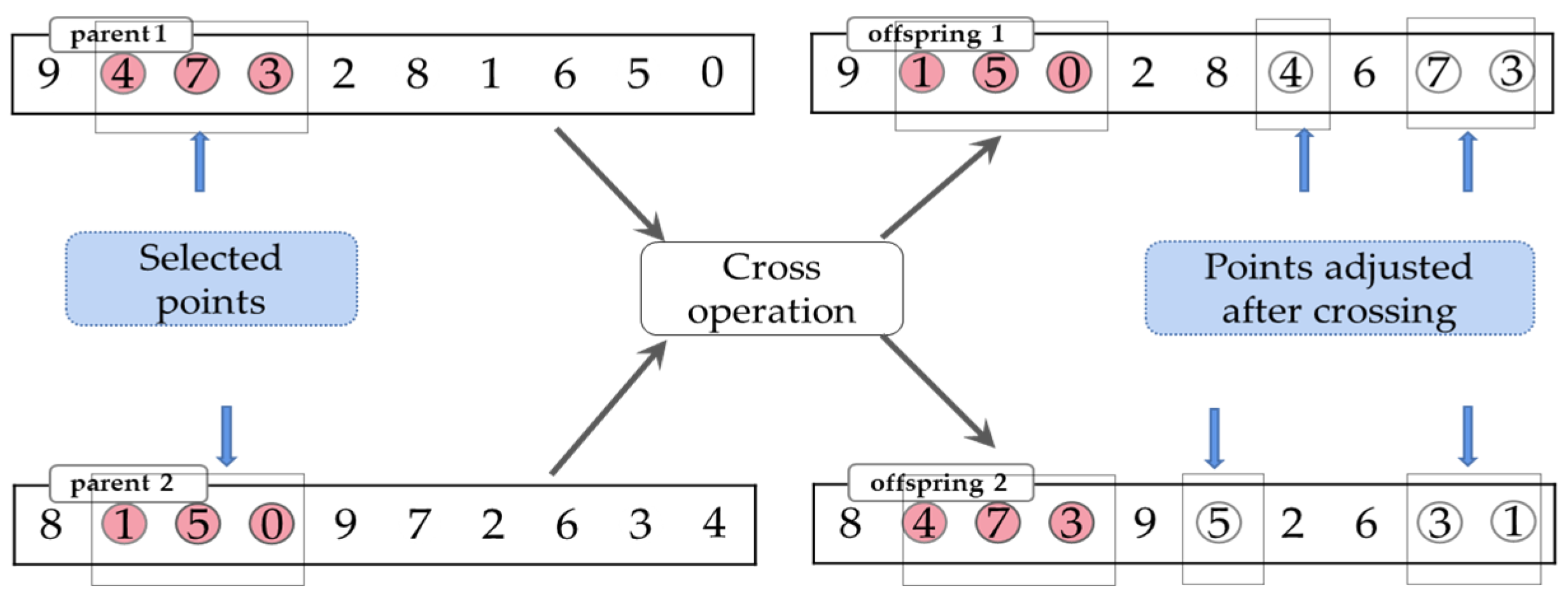 Electronics 12 03483 g010