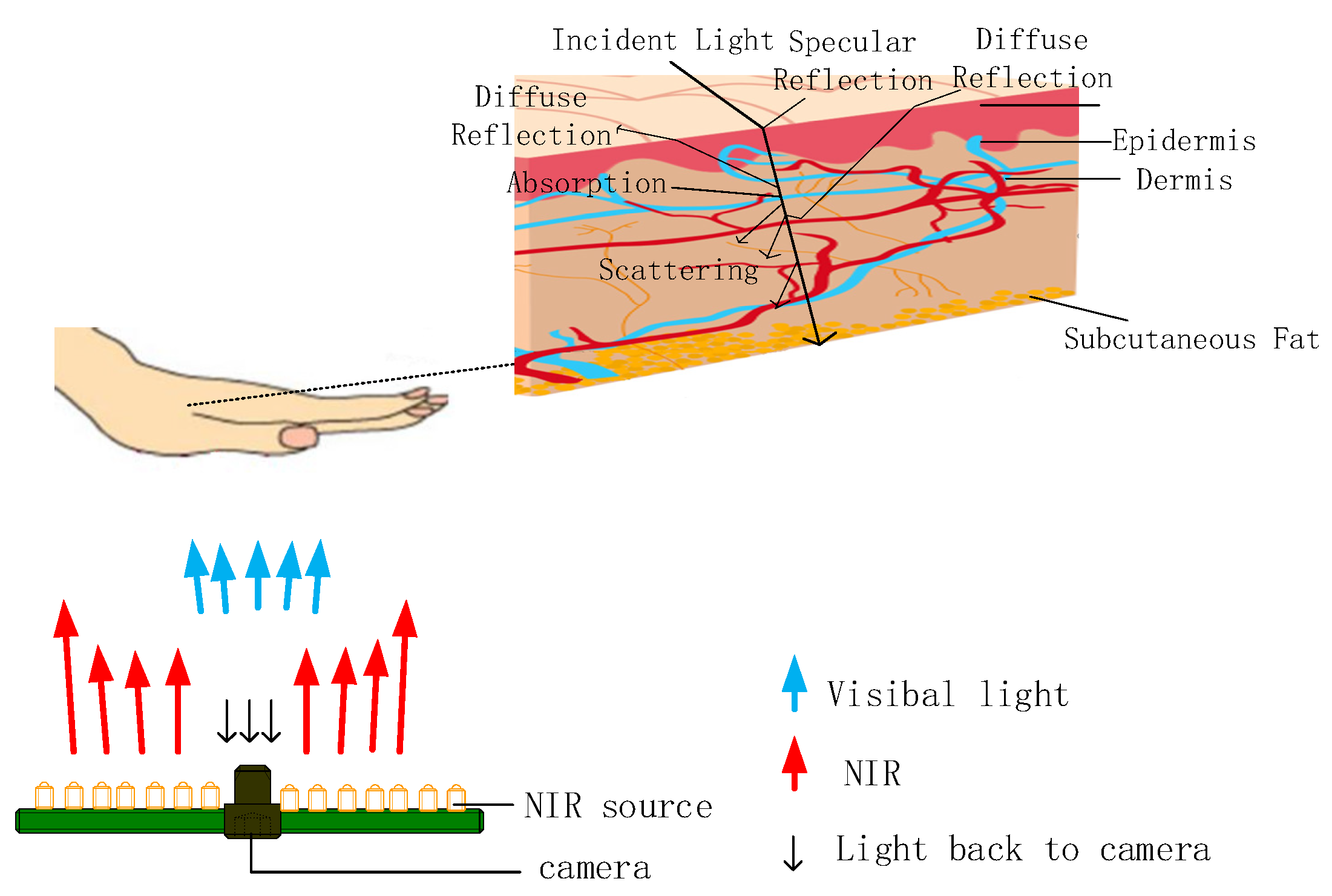 Electronics 12 03503 g001