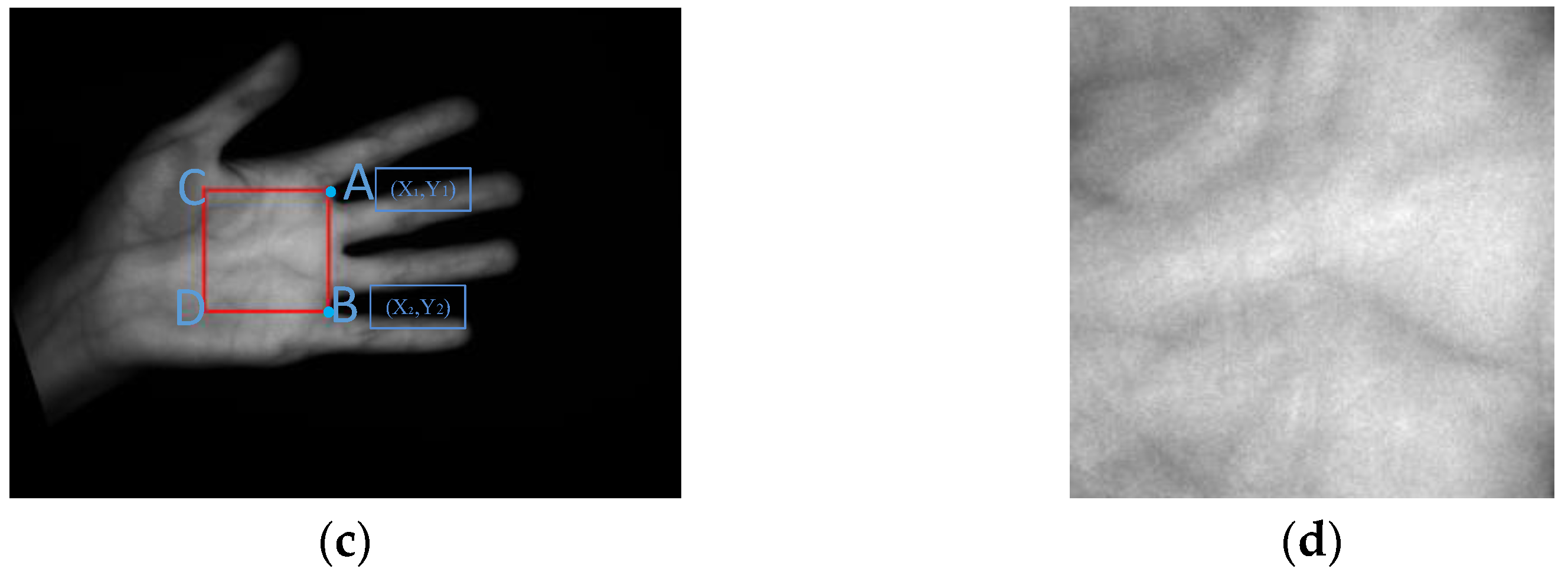 Electronics 12 03503 g003b