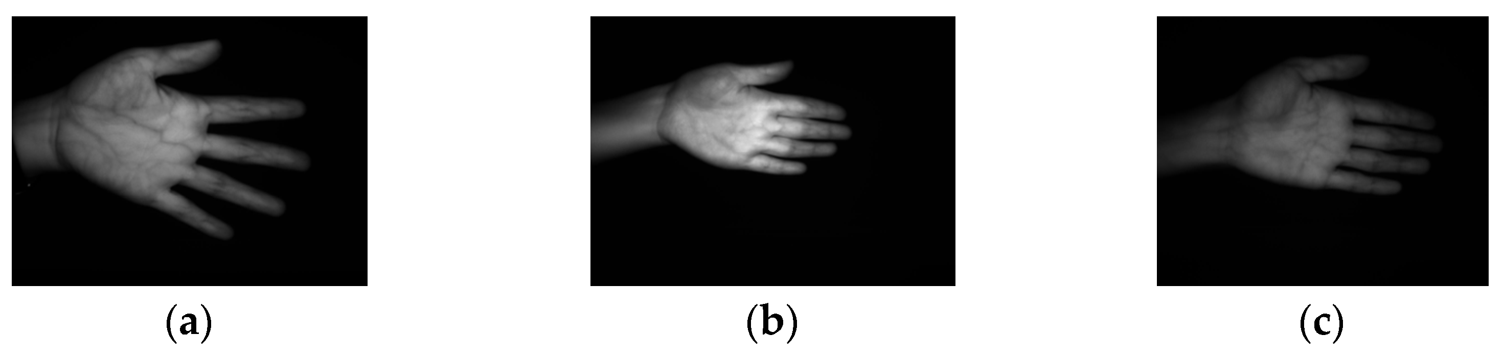 Electronics 12 03503 g008