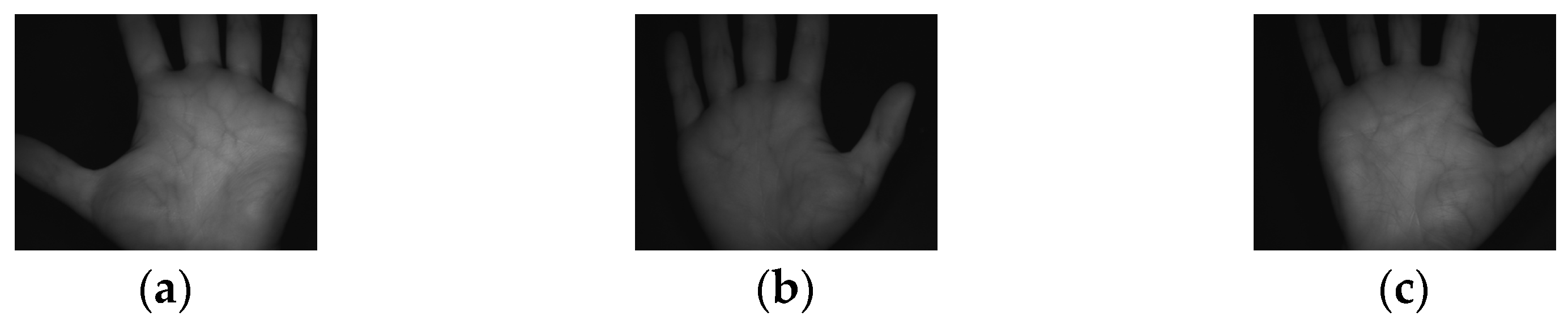 Electronics 12 03503 g011