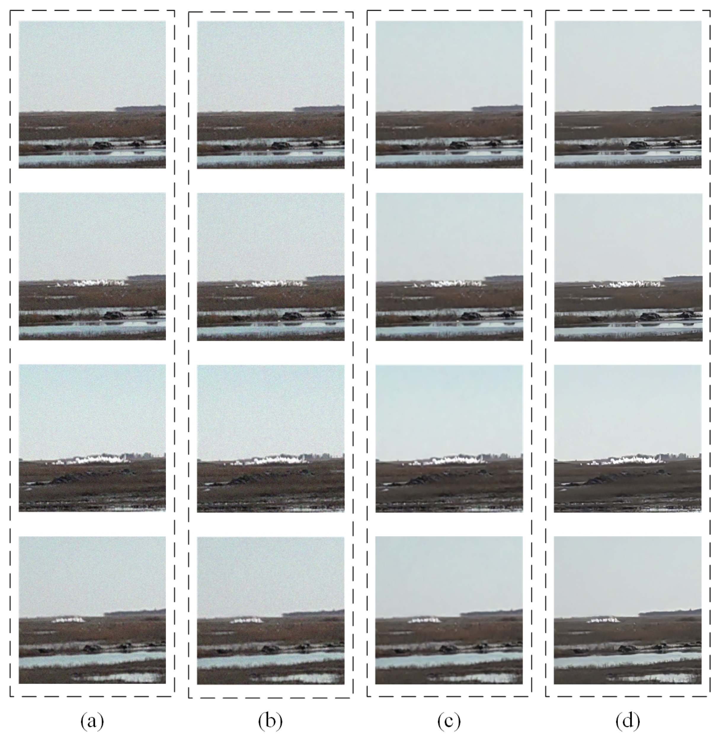 Electronics 12 03557 g010