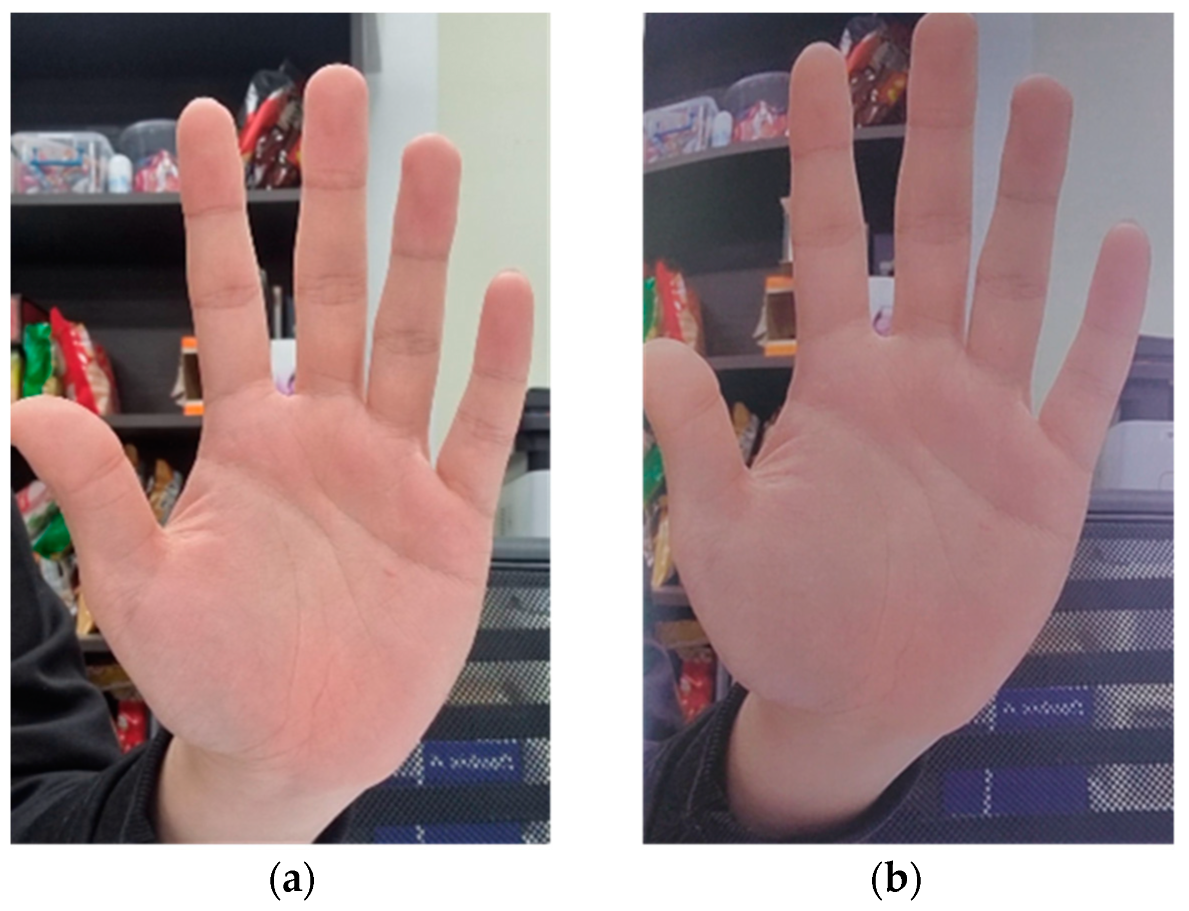 Electronics 12 03605 g004