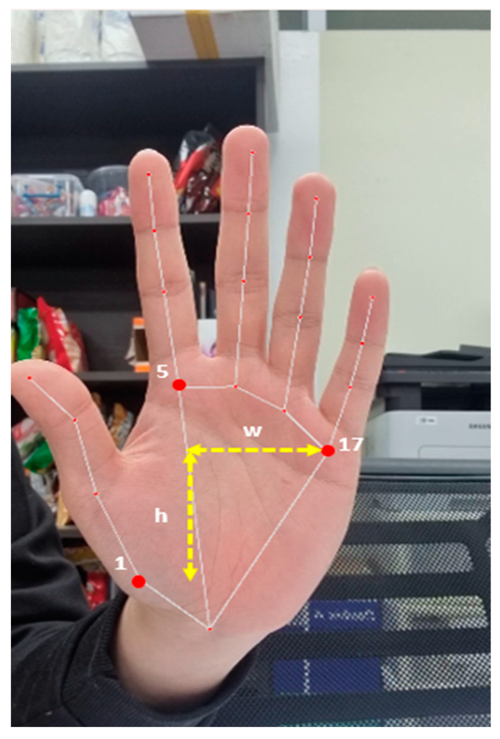 Electronics 12 03605 g006