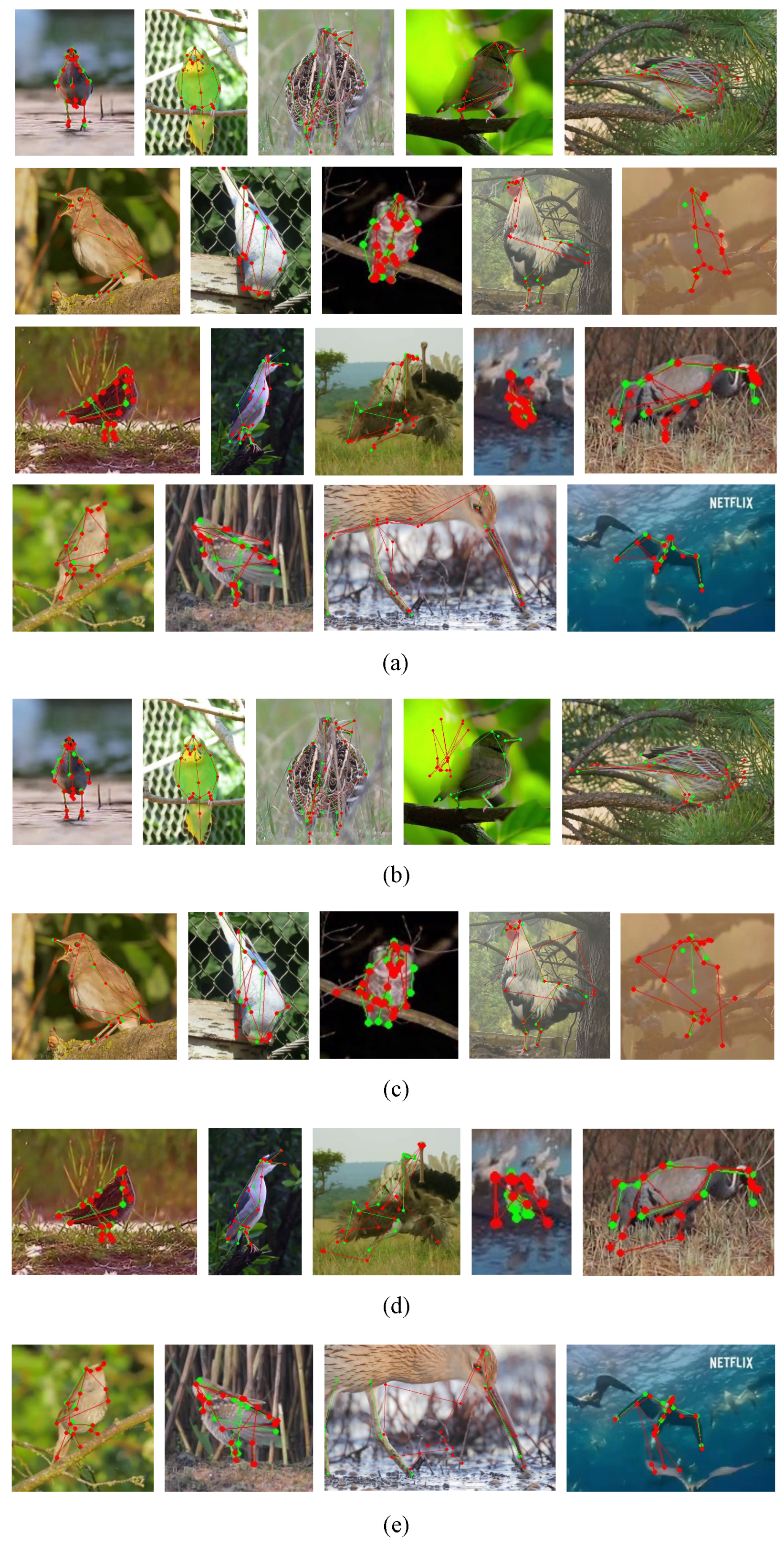 Electronics 12 03643 g002