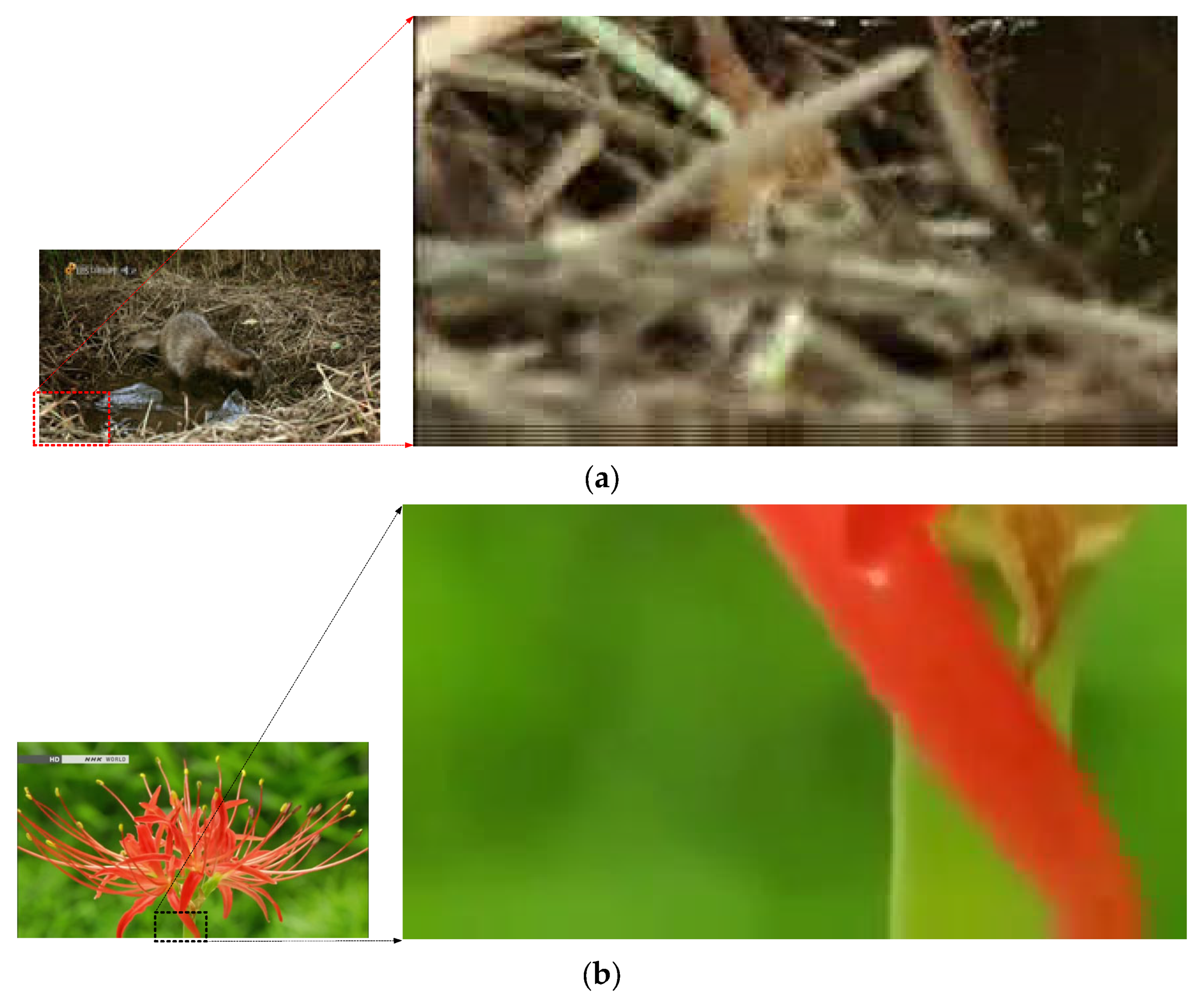 Electronics 12 03666 g002