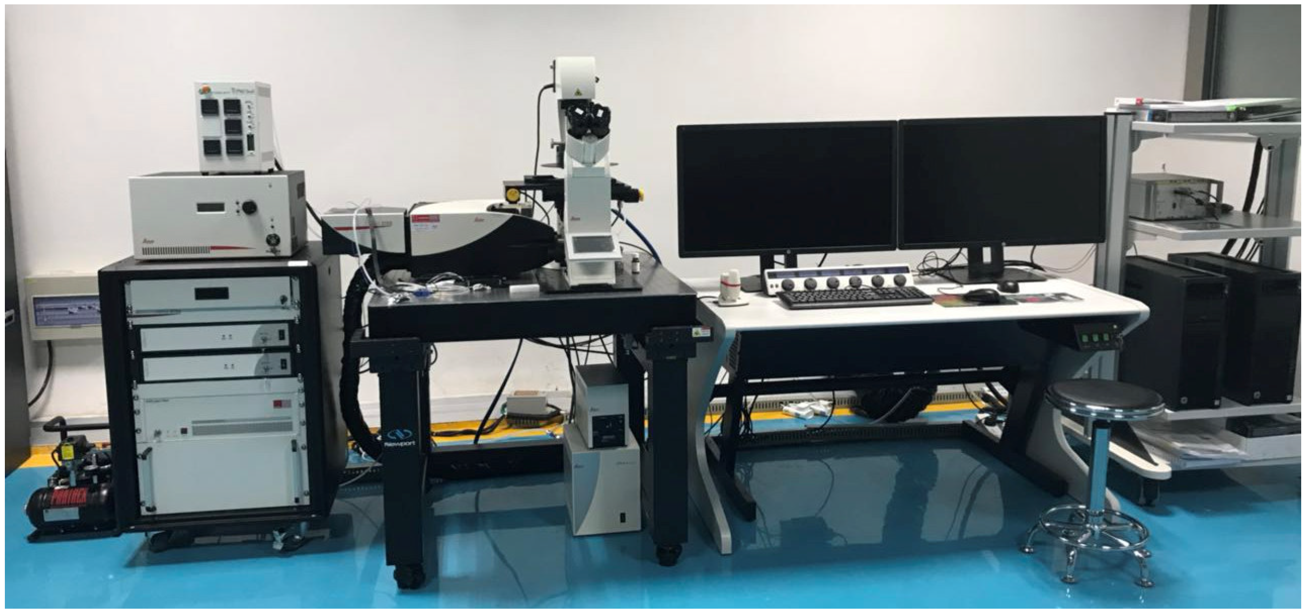 Electronics 12 03868 g004