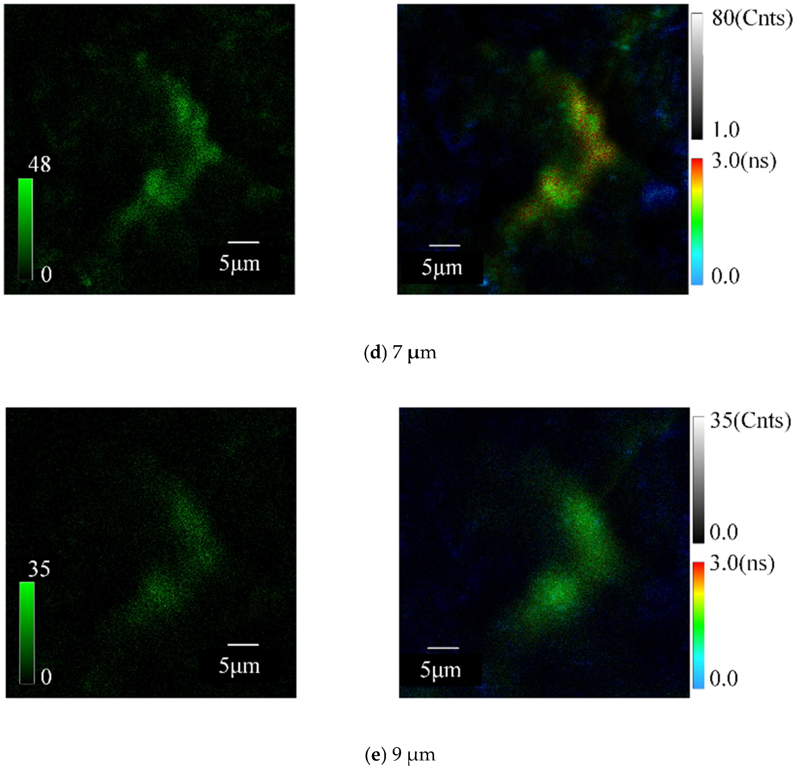 Electronics 12 03868 g010b
