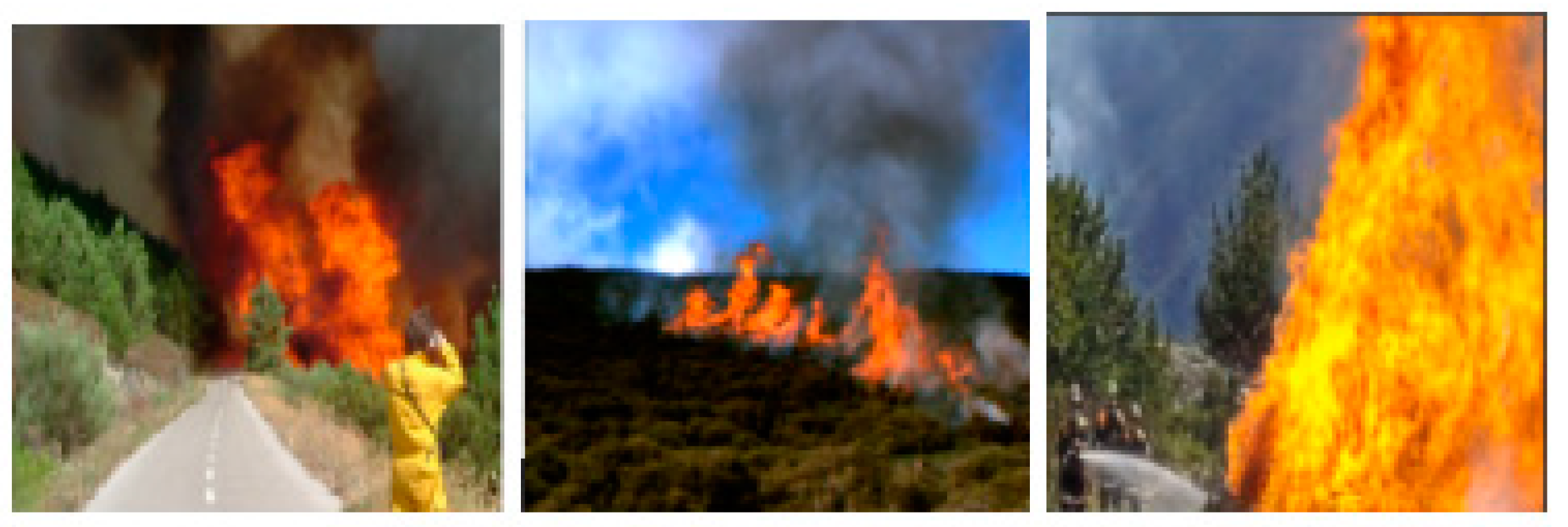 Electronics 12 03888 g006