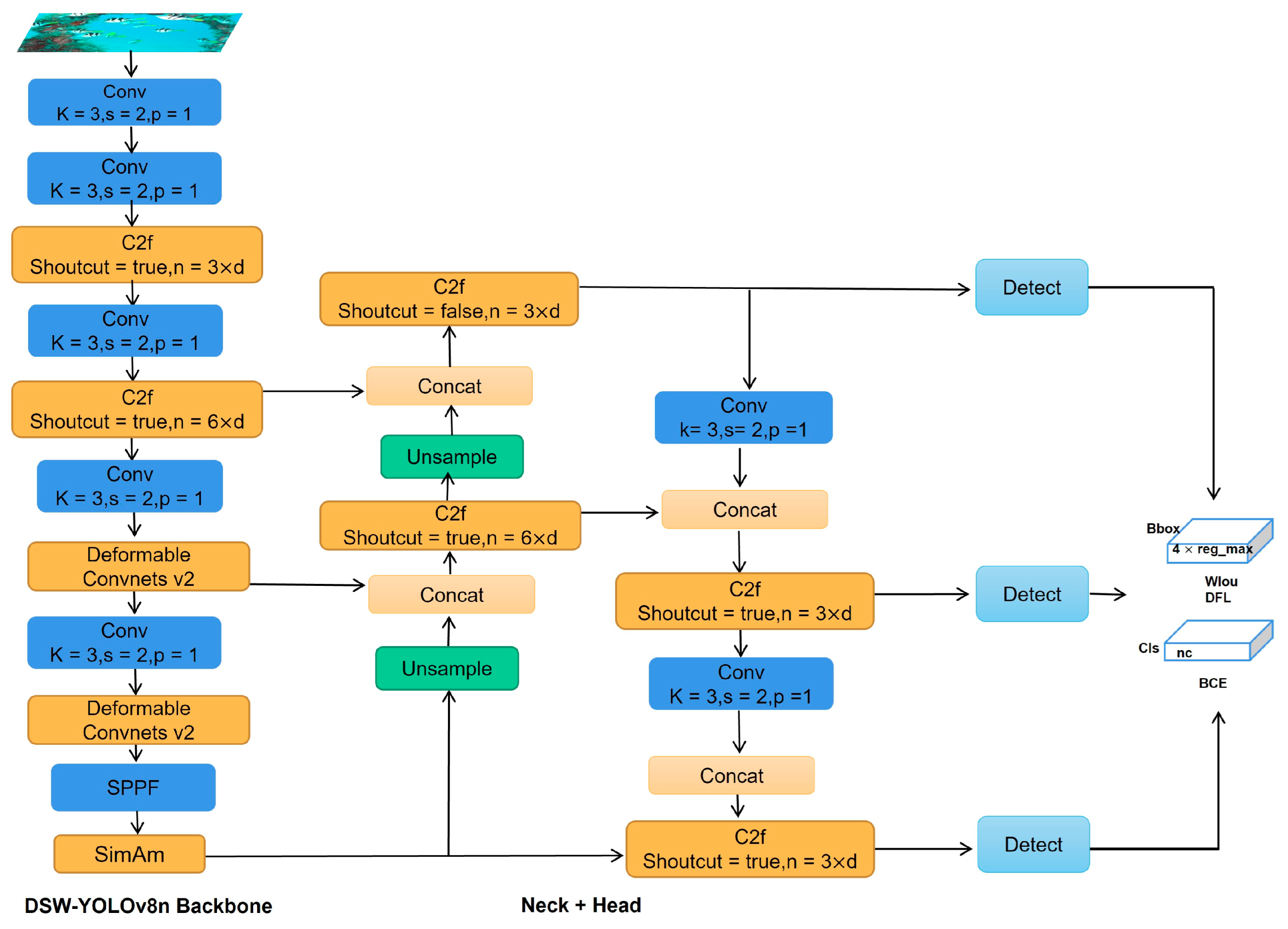 DSW-YOLOv8n: A New Underwater Target Detection Algorithm