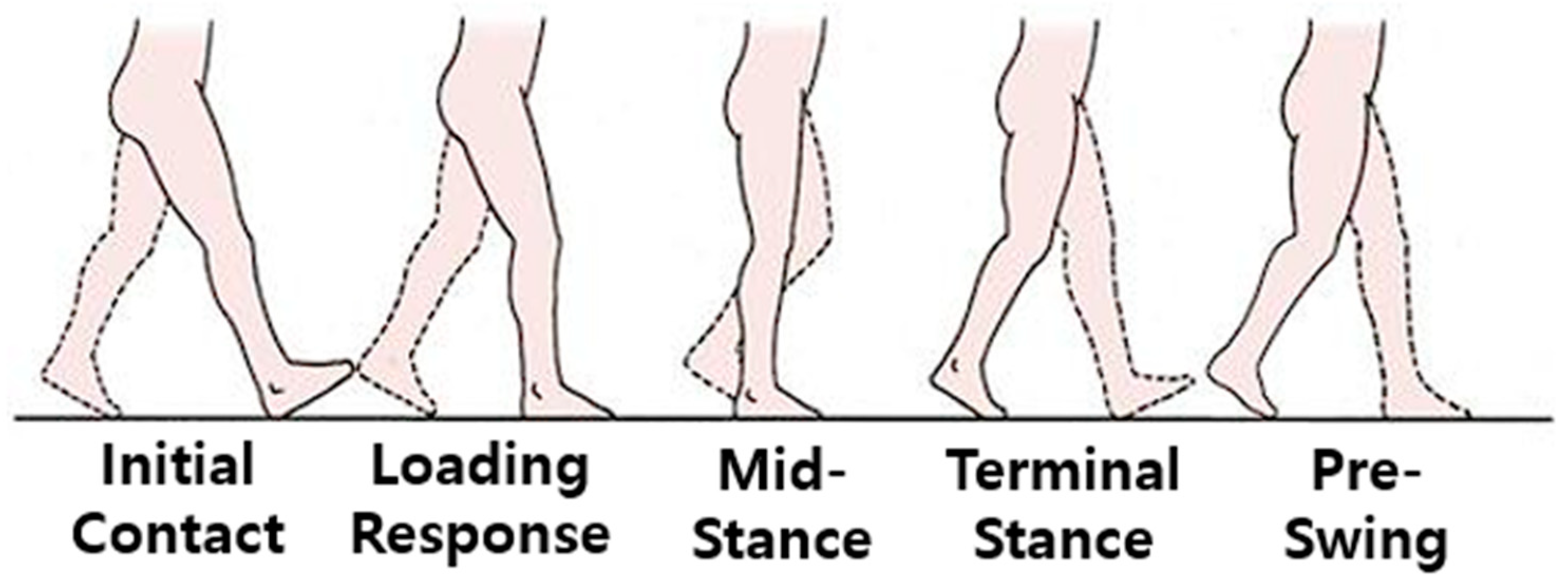 Electronics 12 04201 g007