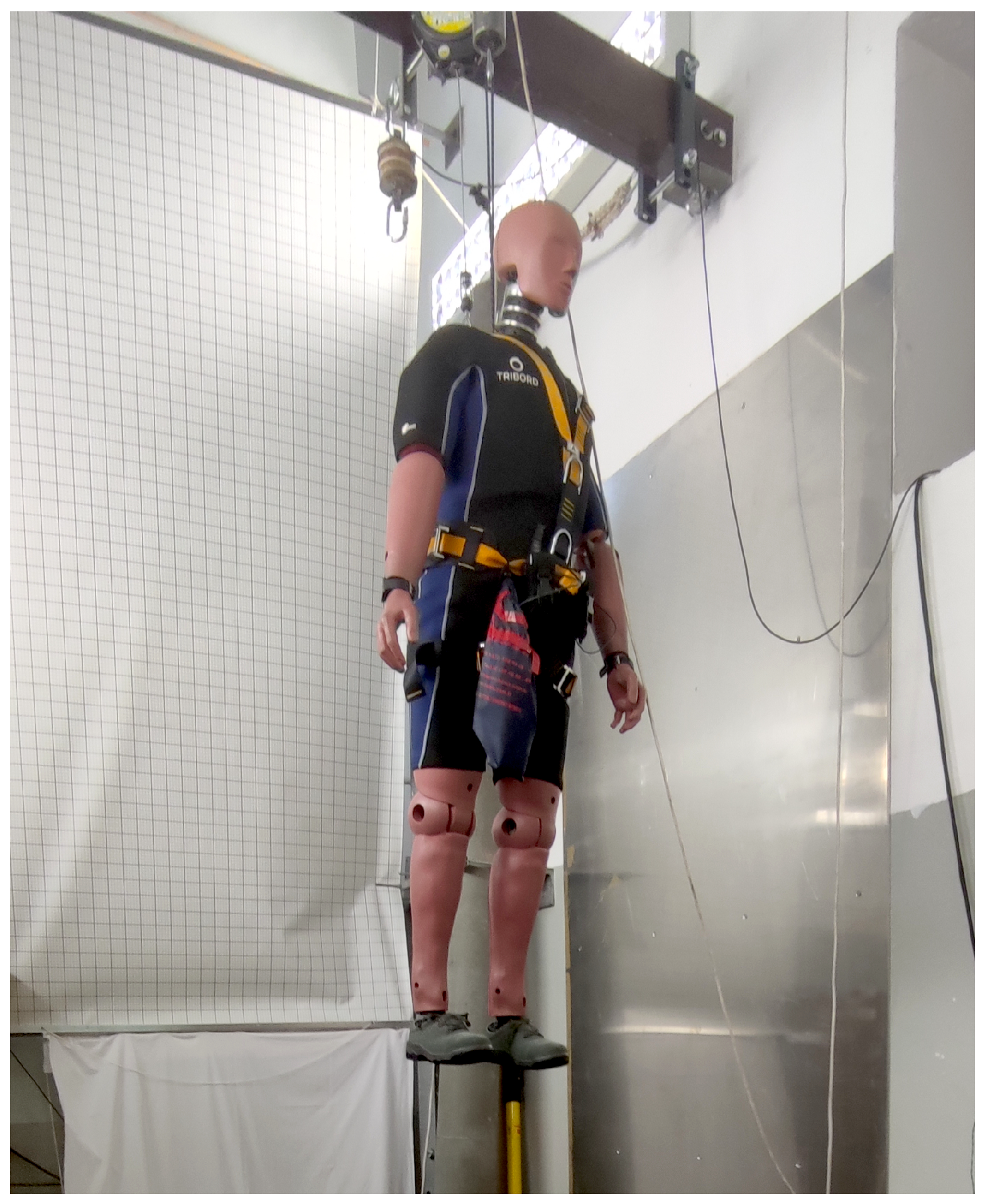 Electronics 12 04257 g003