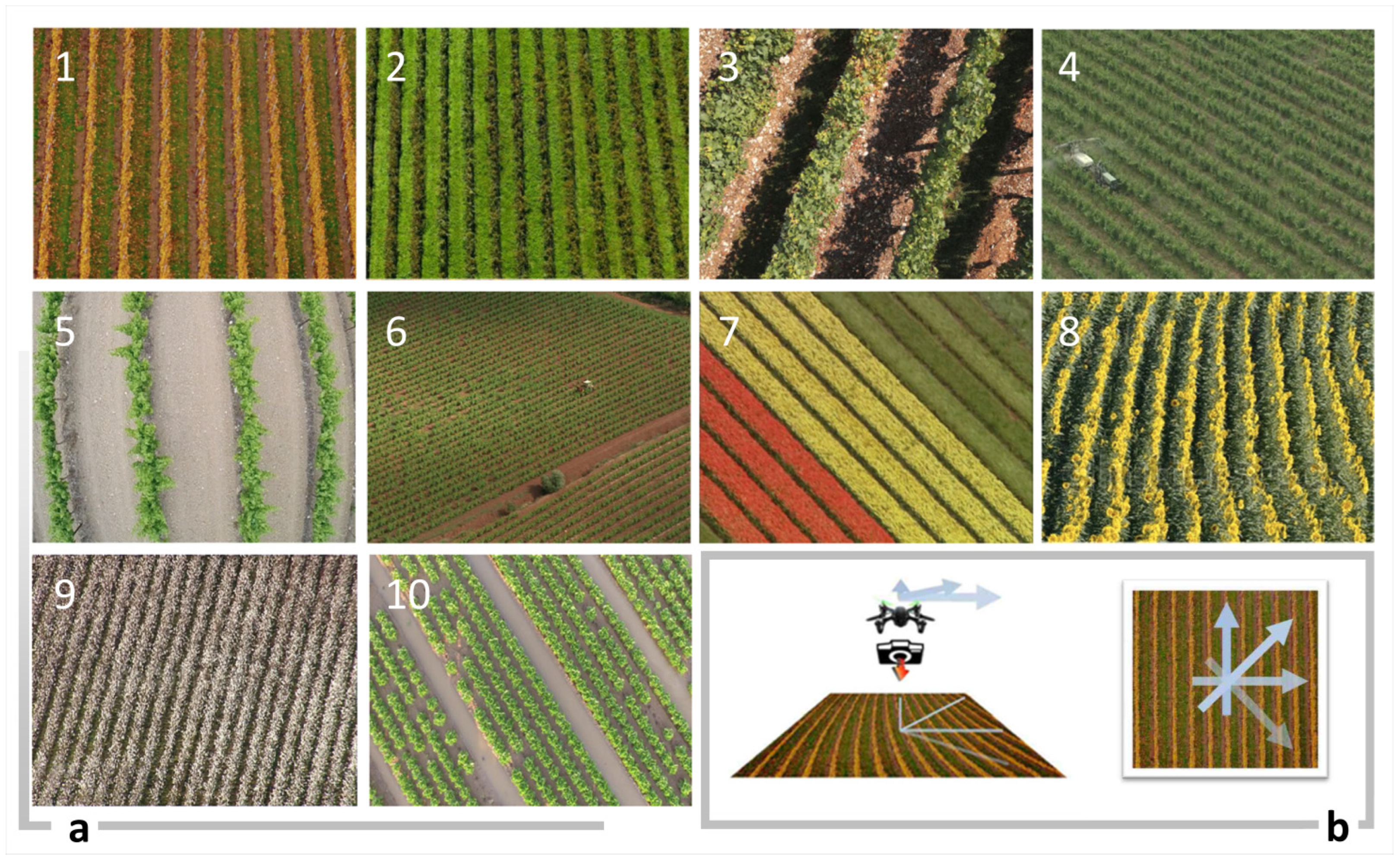 Electronics 12 04354 g001