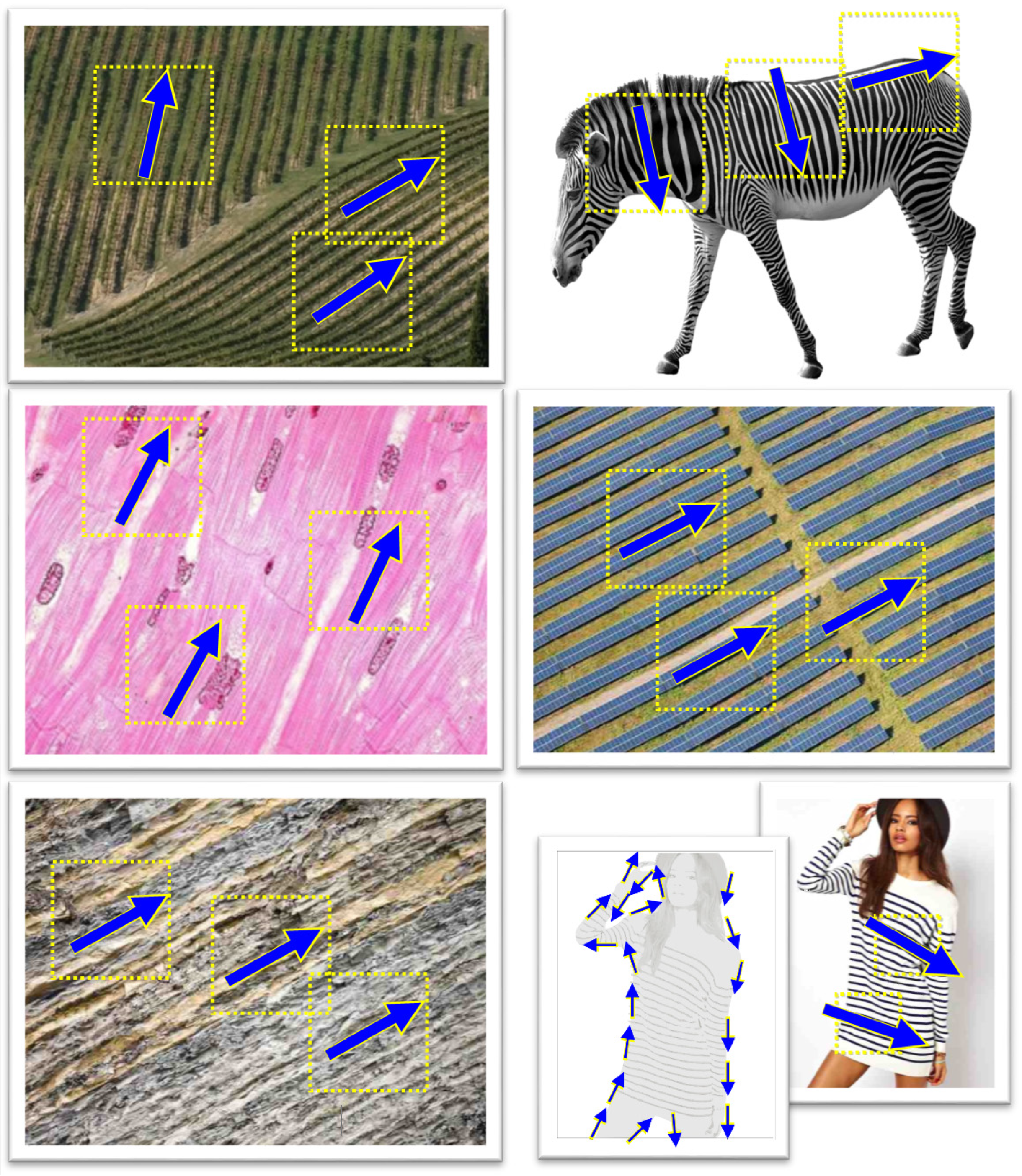 Electronics 12 04354 g008