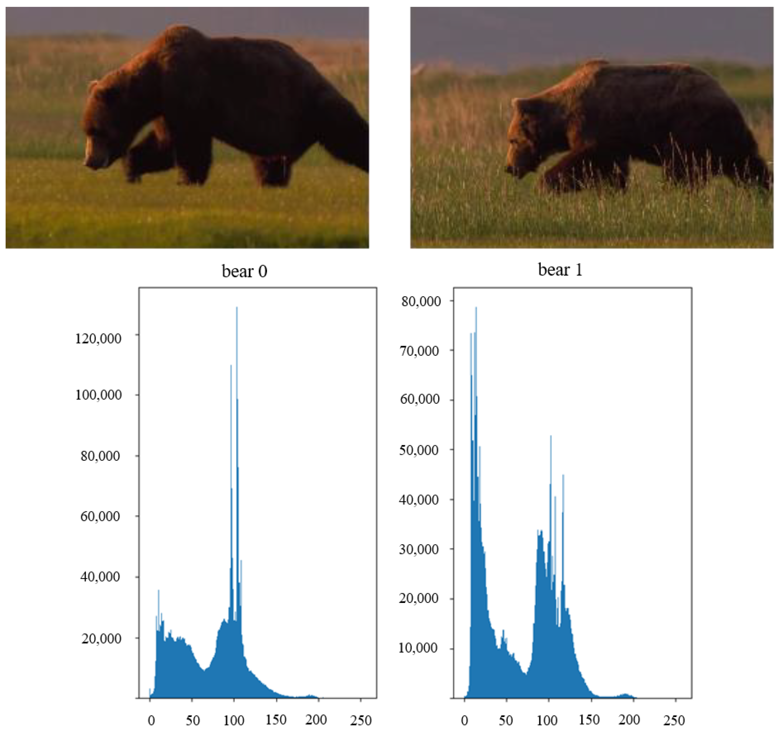 Electronics 12 04506 g002