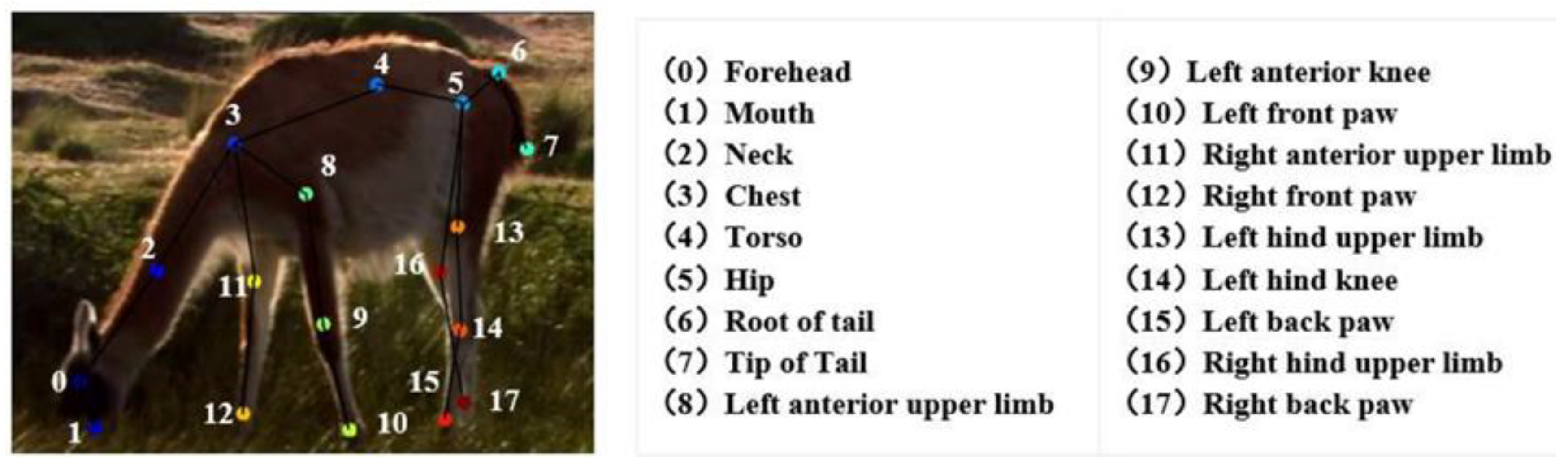 Electronics 12 04506 g003