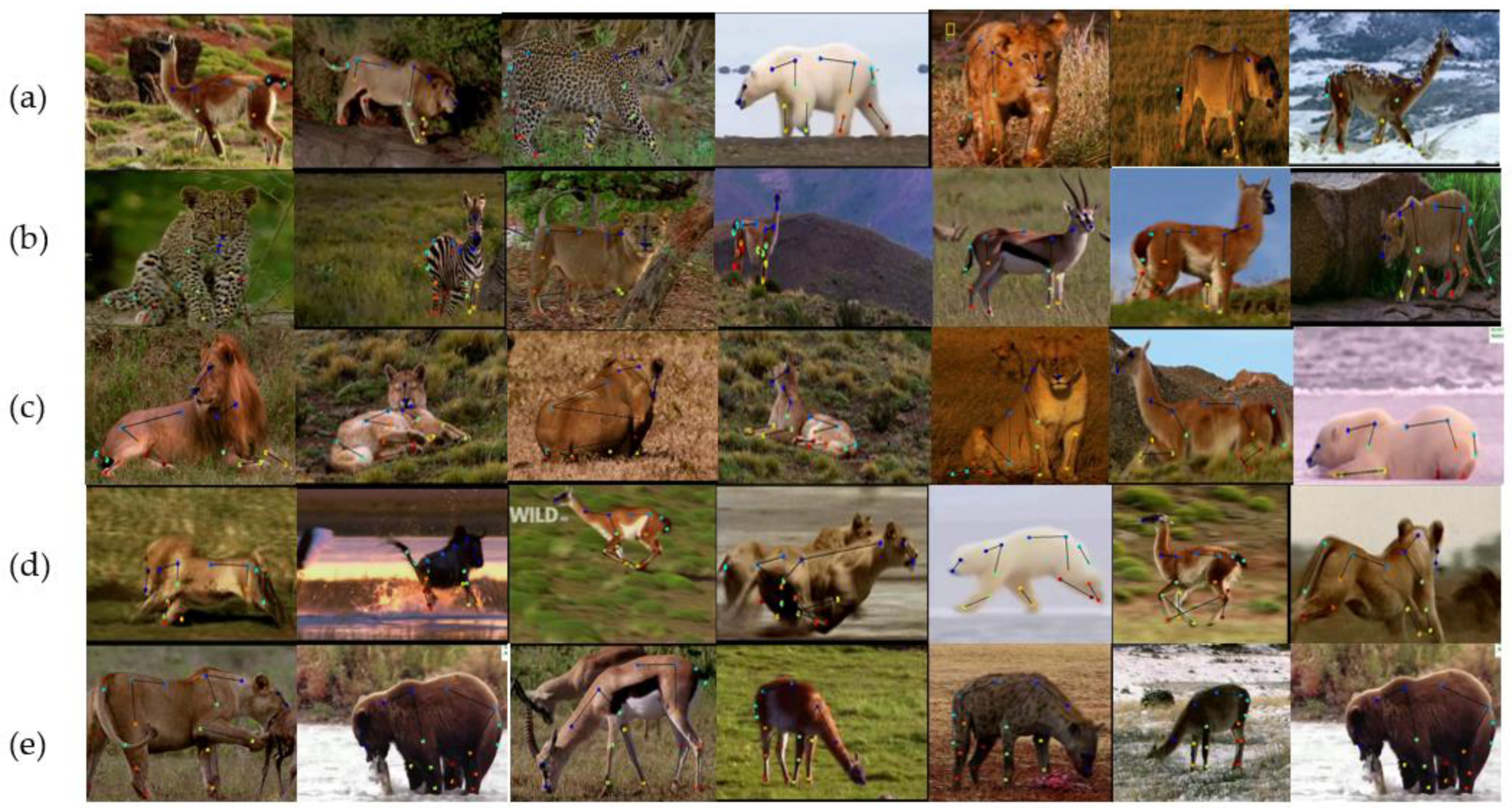 Electronics 12 04506 g005