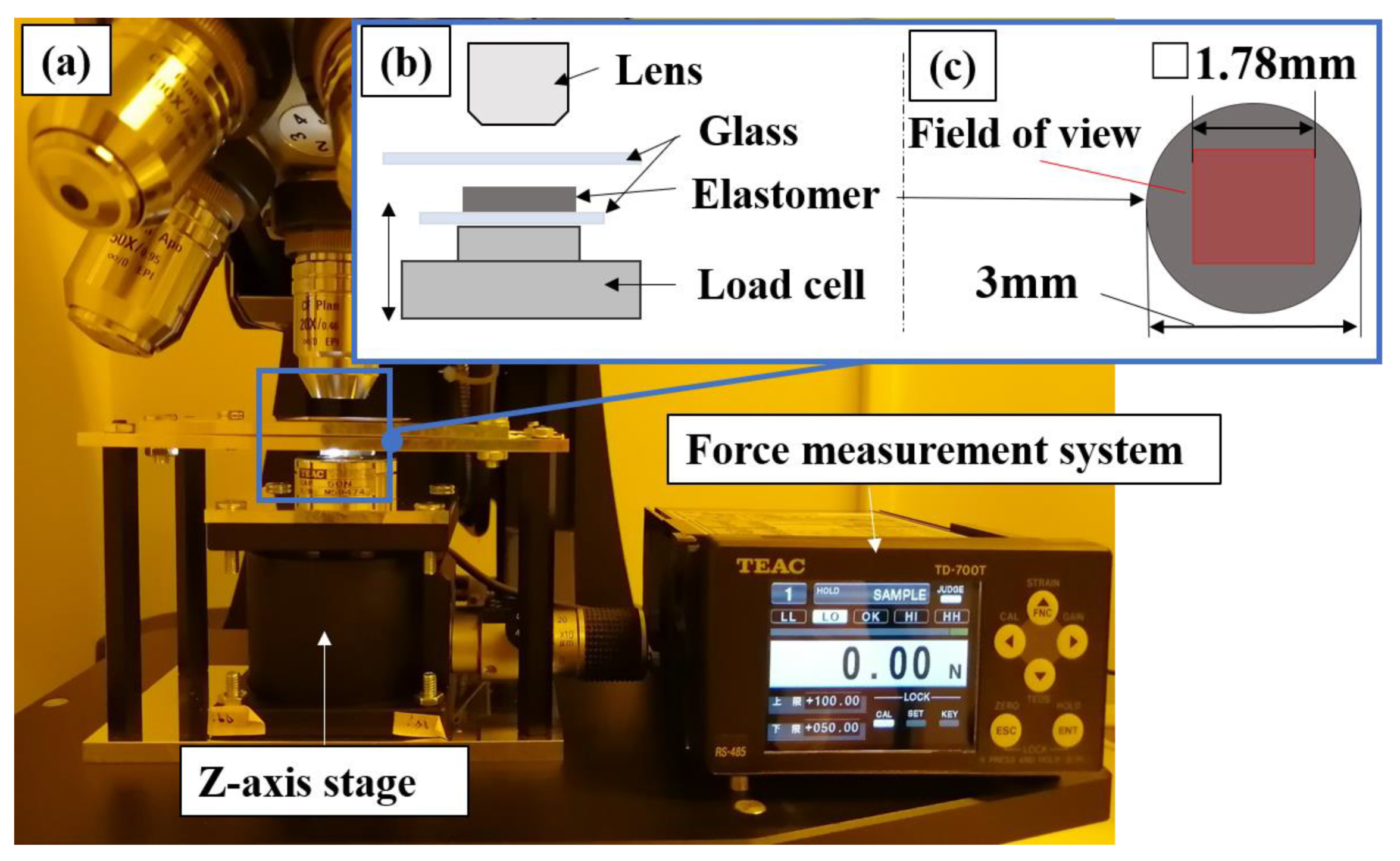 Electronics 12 04532 g003