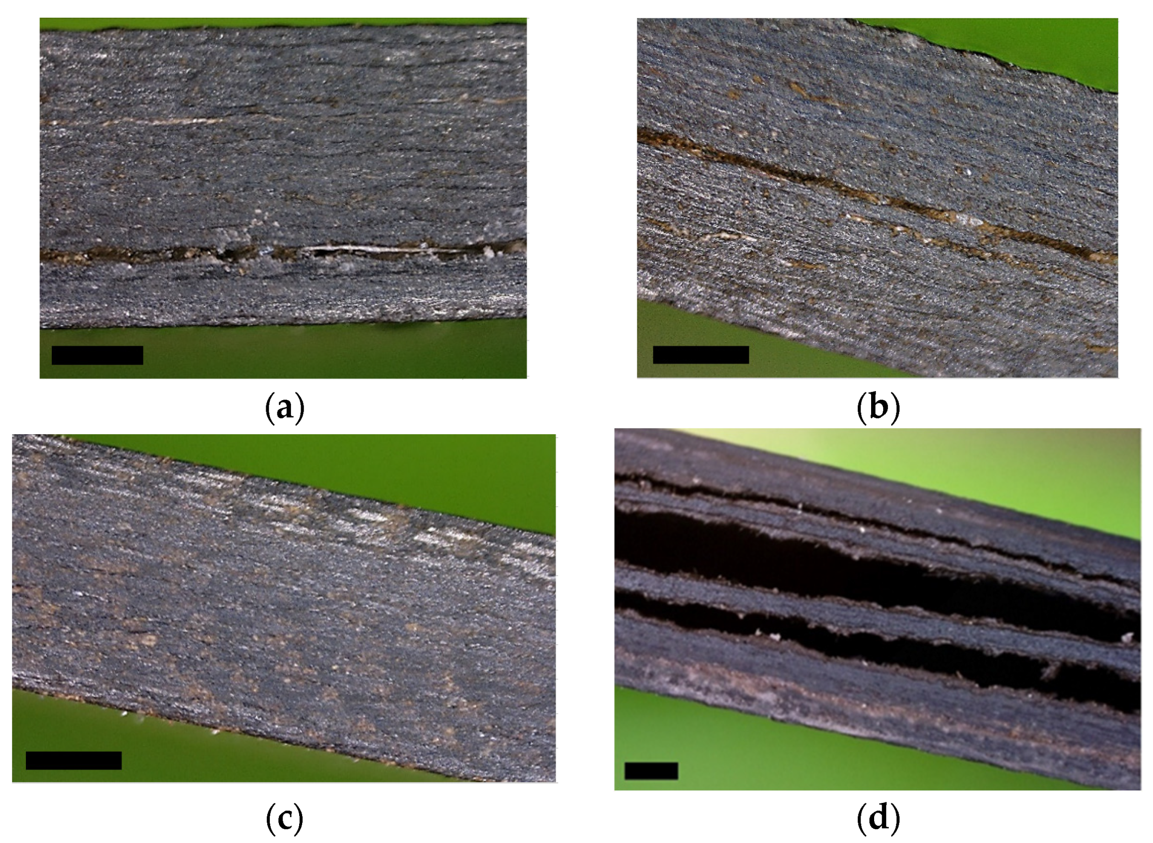 Electronics 12 04729 g002