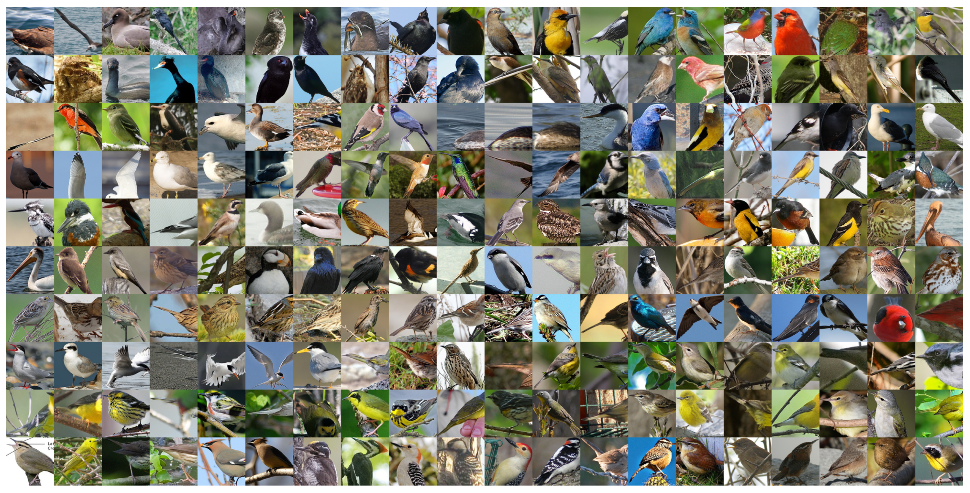 Electronics 12 04751 g005