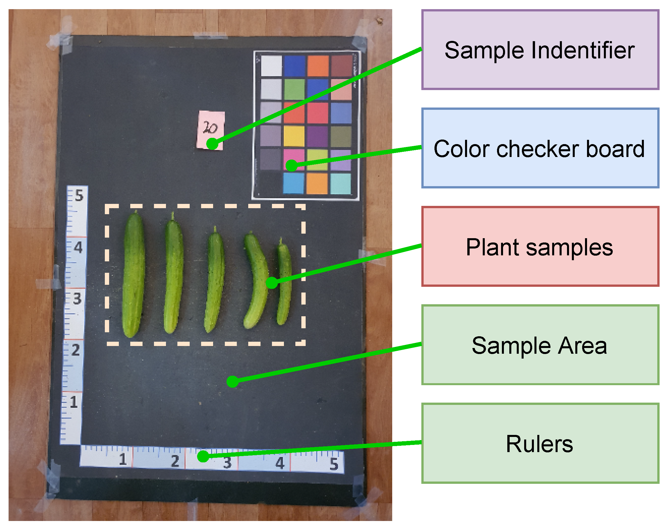 Electronics 12 04775 g001