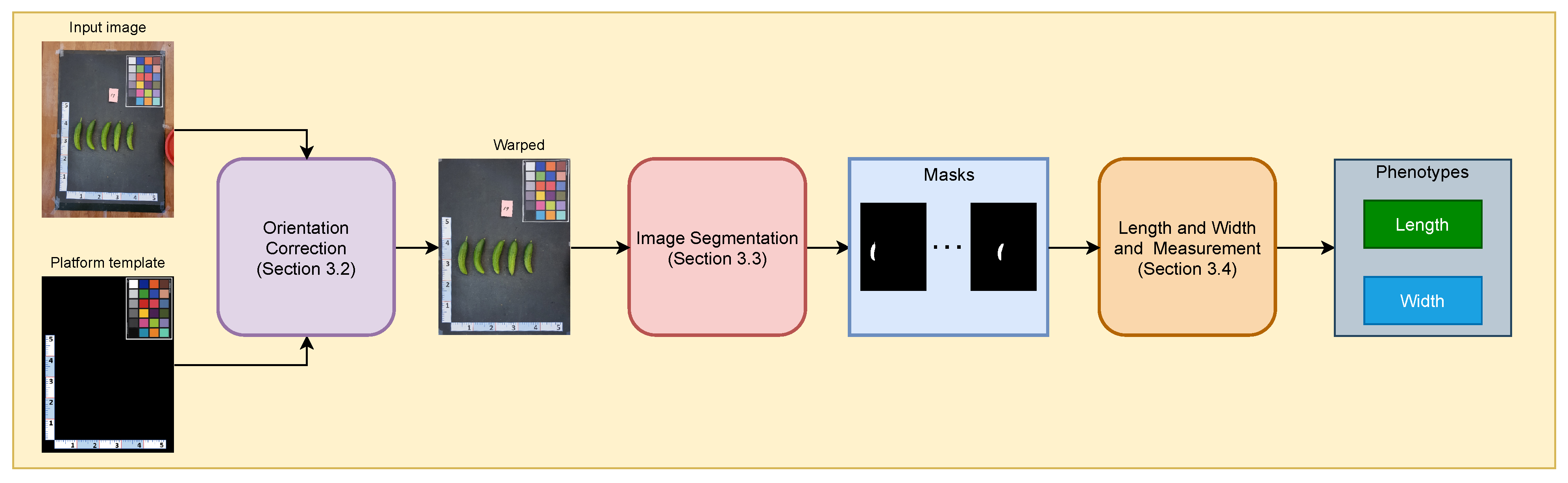 Electronics 12 04775 g002