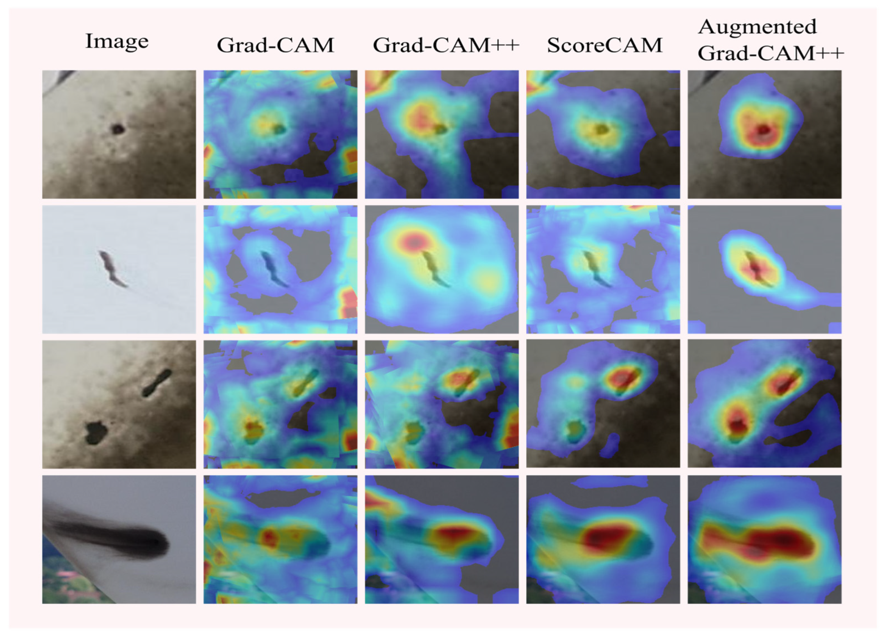 Electronics 12 04846 g013
