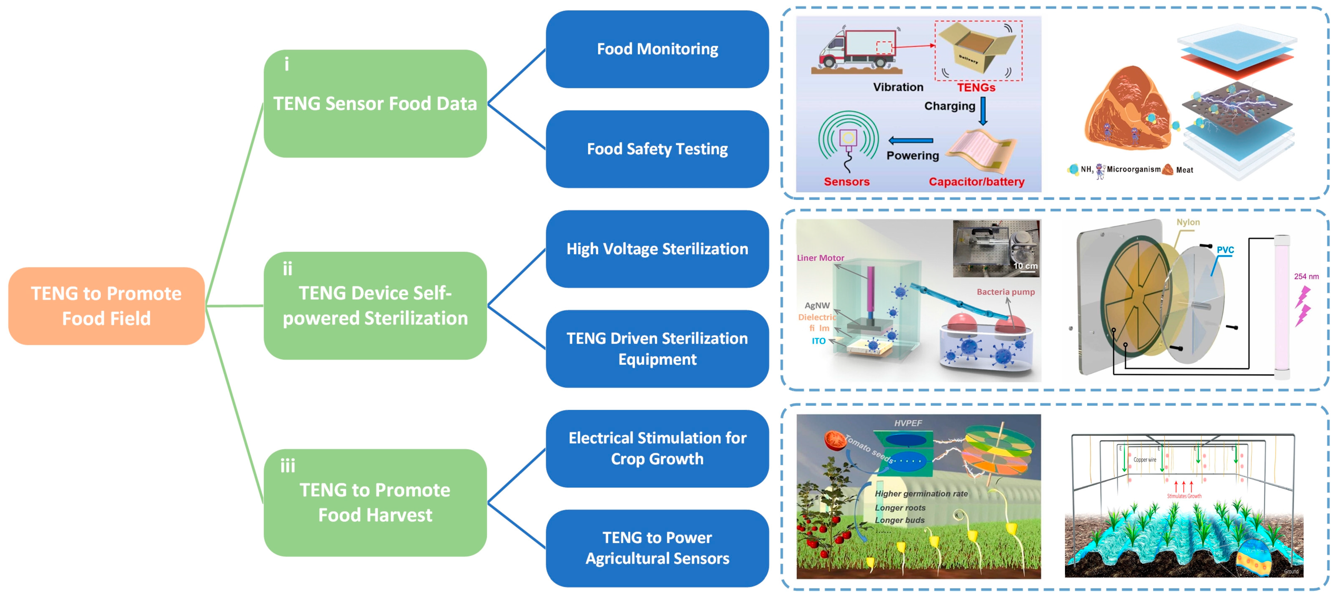 Electronics 12 04880 g001