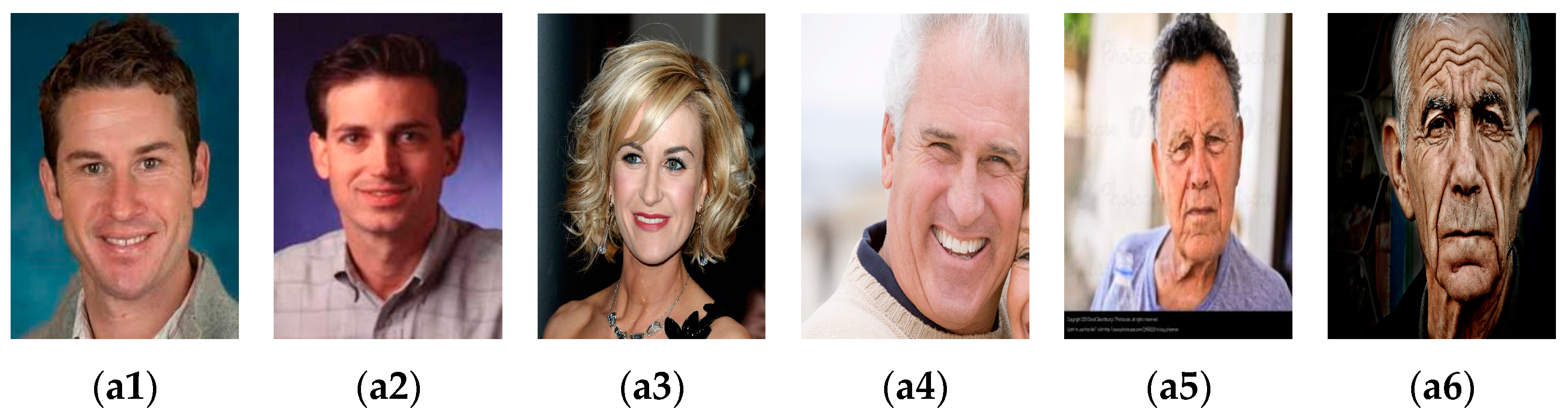 Electronics 12 04897 g002a