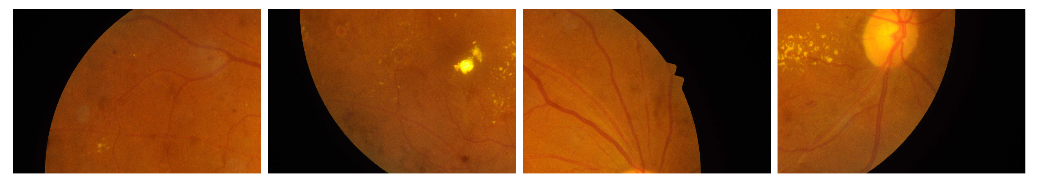 Electronics 12 04940 g007