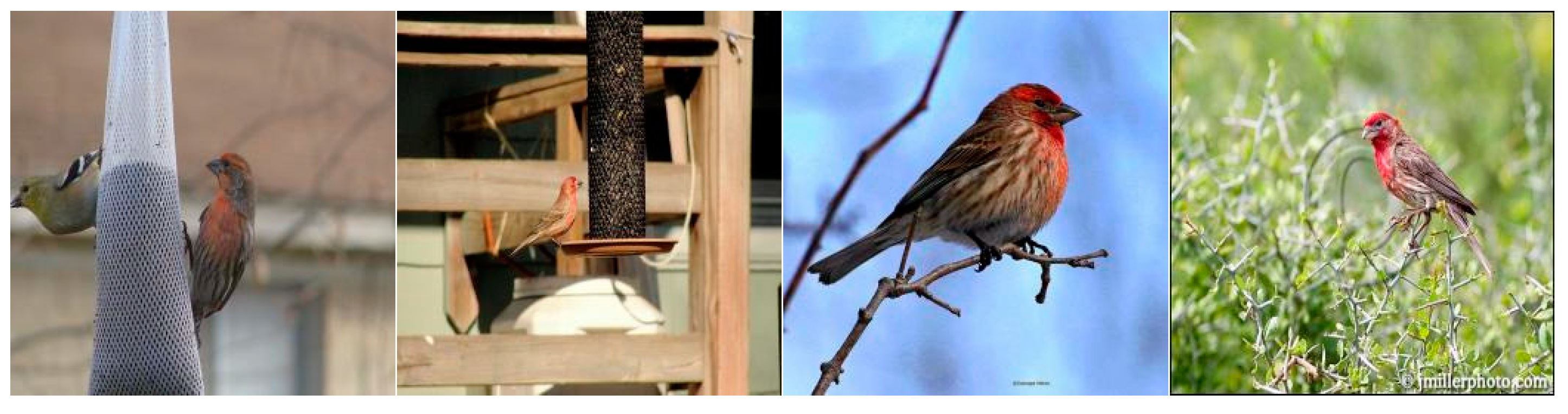 Electronics 12 04956 g010a