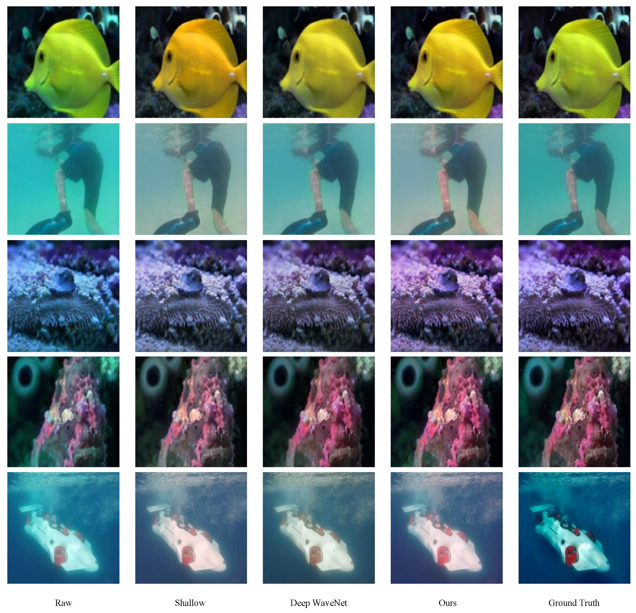 Electronics 12 04999 g005